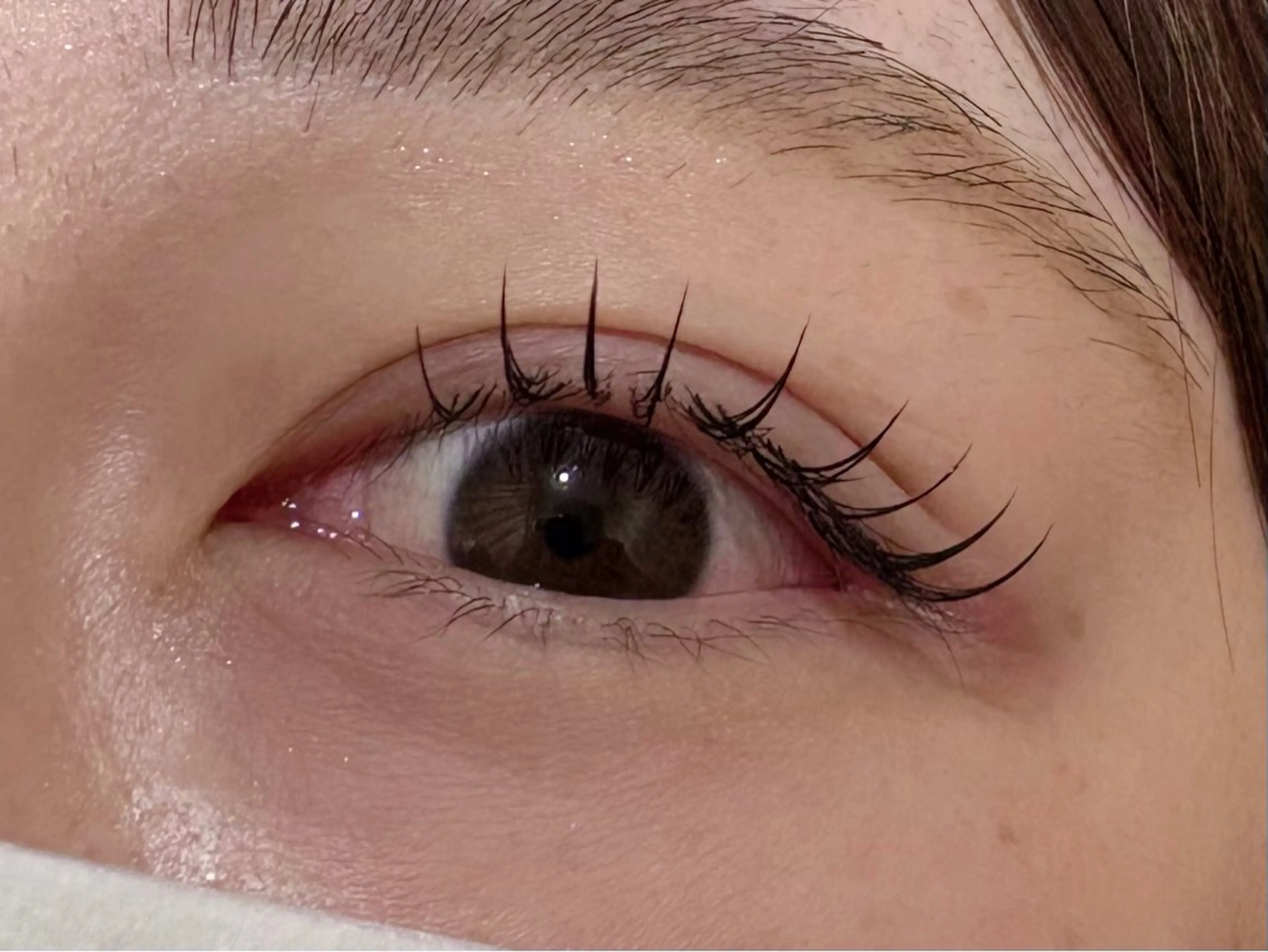 マツエク・マツパ マツエク 🦋eight misaki🦋のその他イメージ