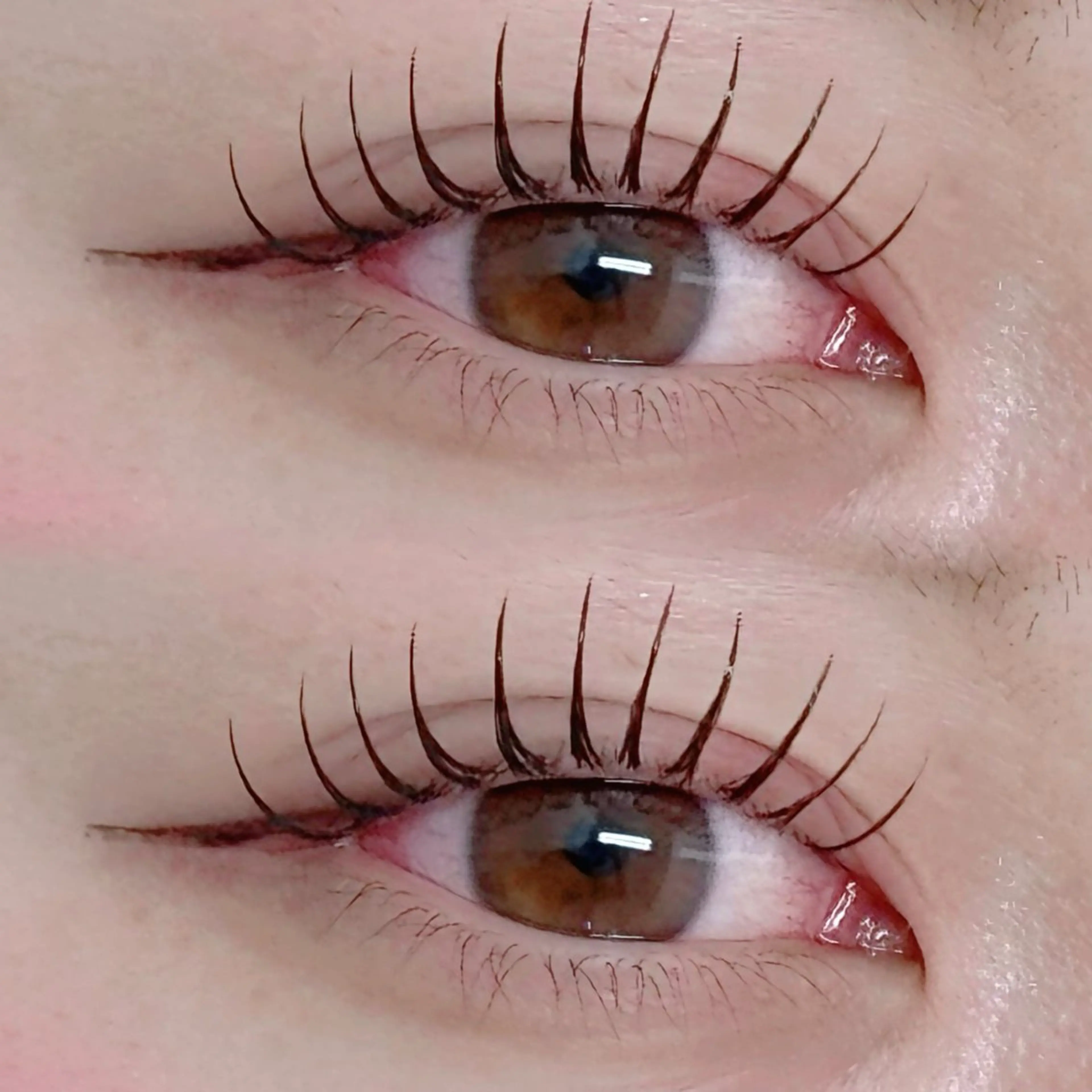 マツエク・マツパ マツエク alicetokyo 🦋宮葉🦋のマツエク・マツパデザイン