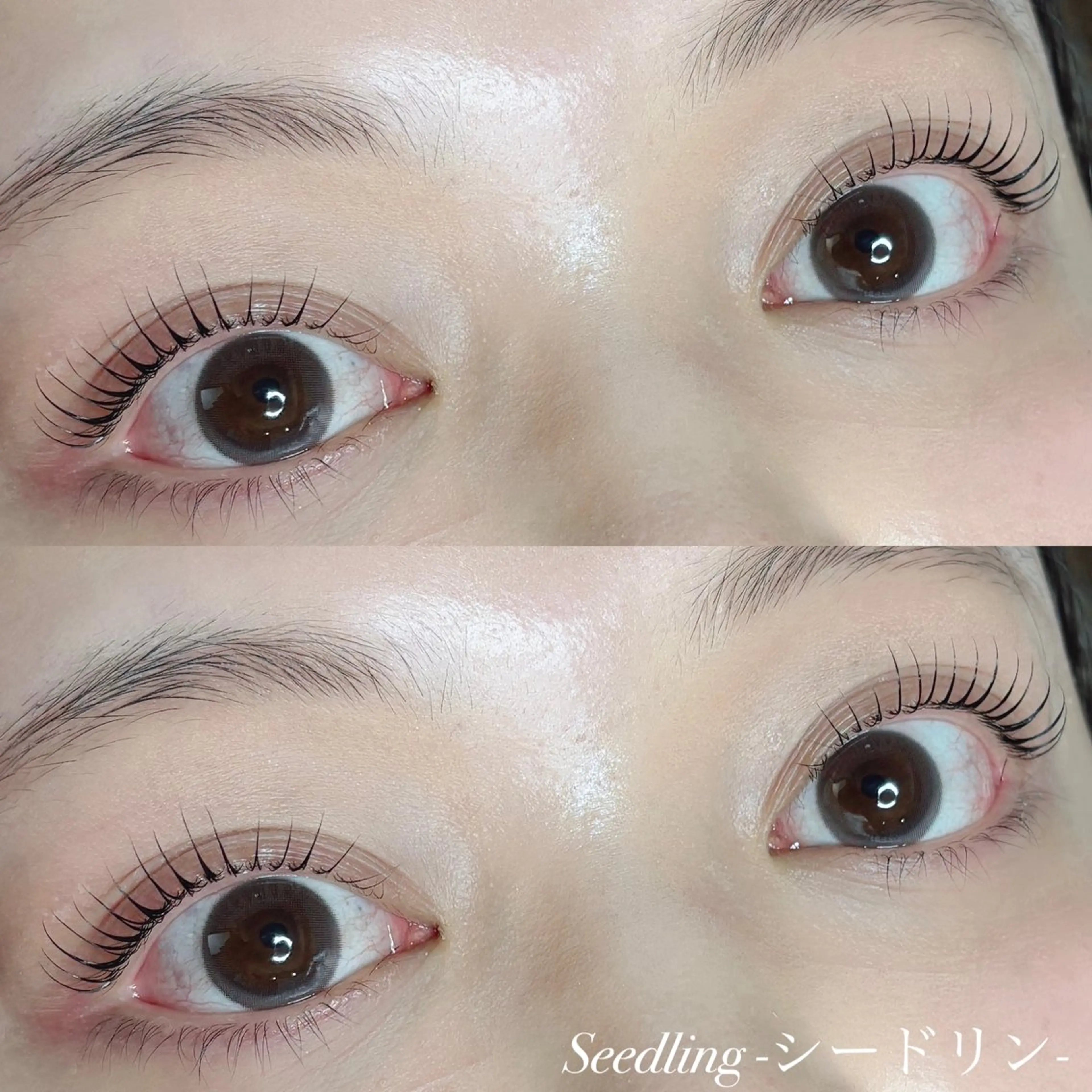 まつげパーマ　モデルの写真