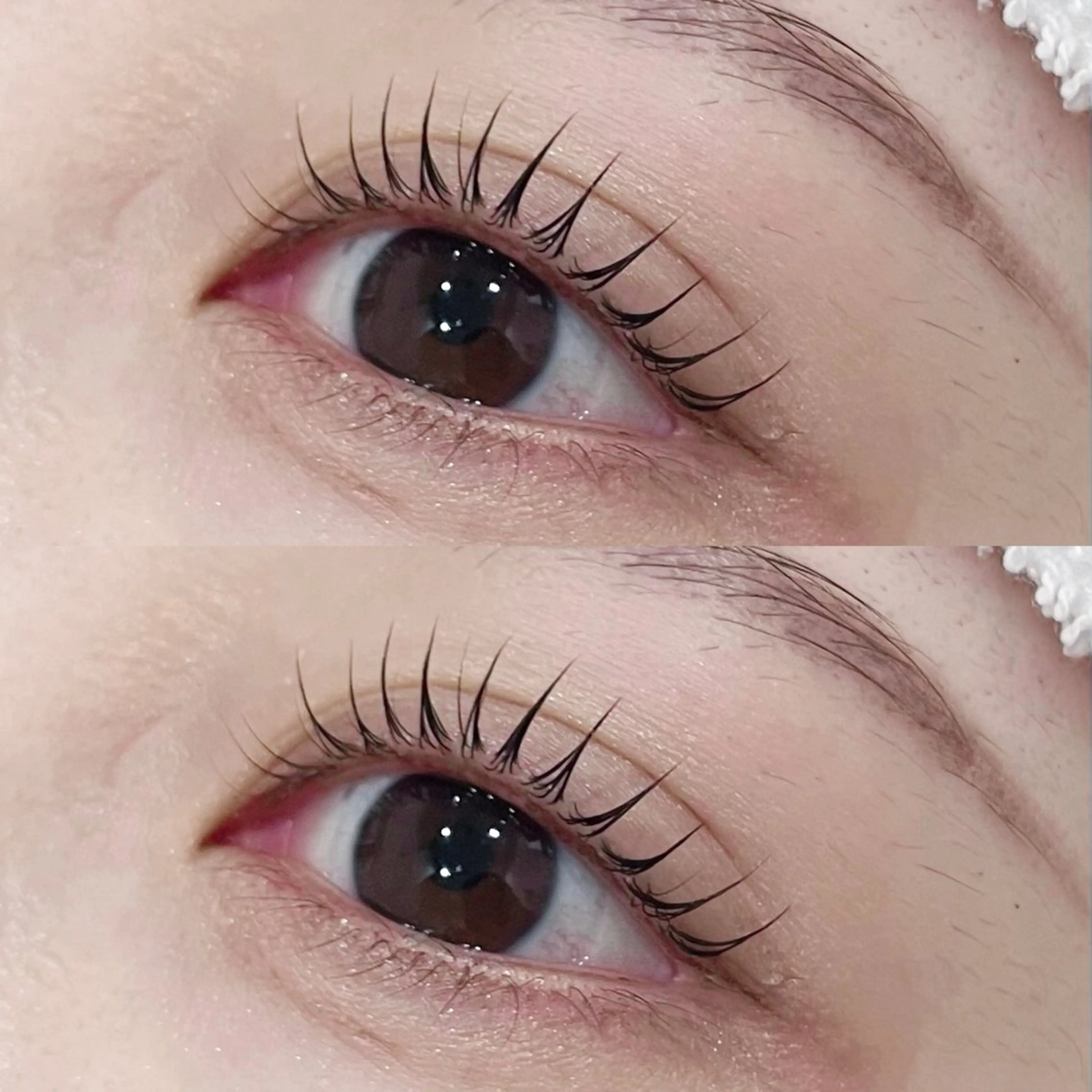 マツエク・マツパ マツパ まつげパーマ専門店 くるり🎀赤澤🎀の眉毛・アイブロウイメージ