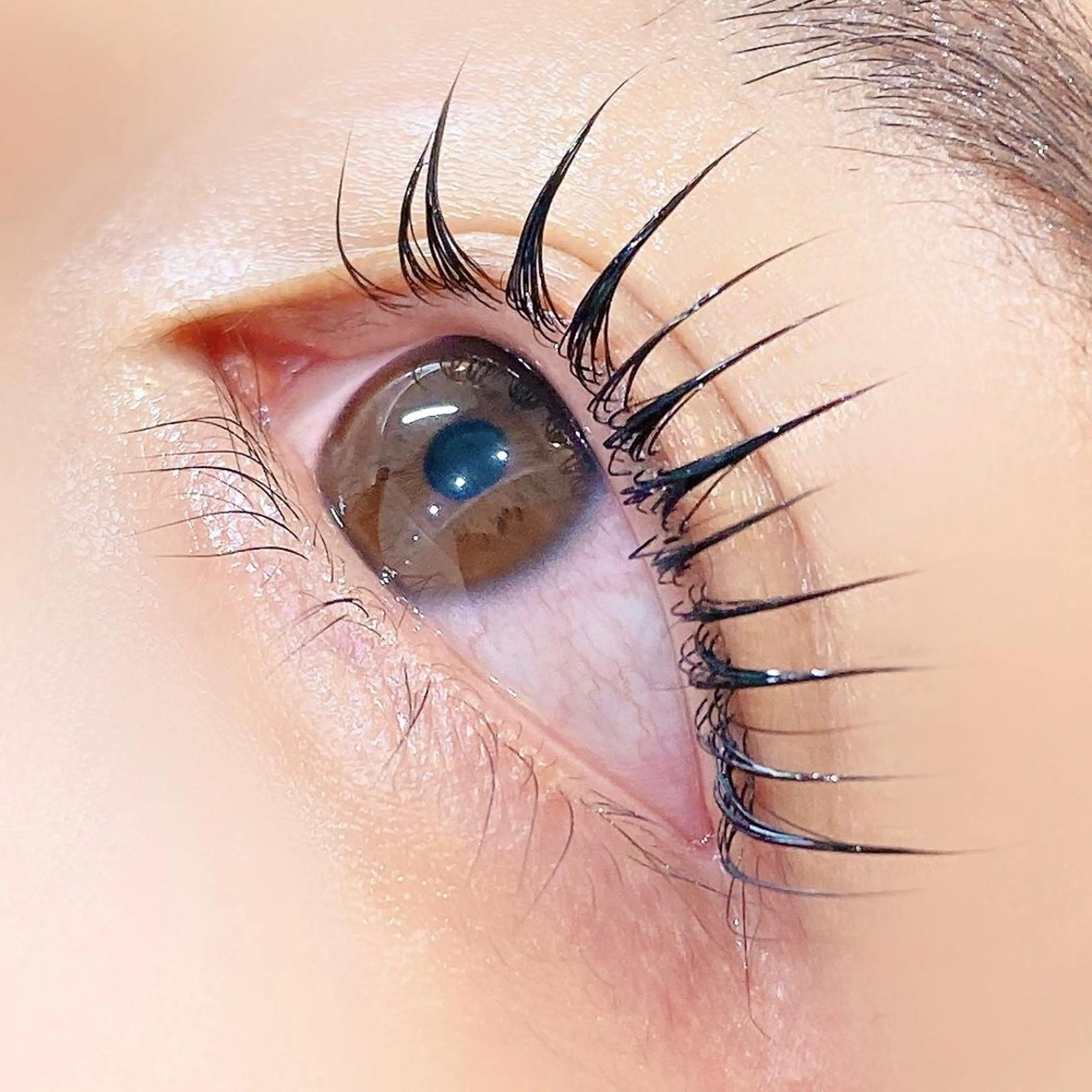 マツエク・マツパ パリジェンヌラッシュリフト マツパ 【myonsil】 Suzuki*のマツエク・マツパデザイン