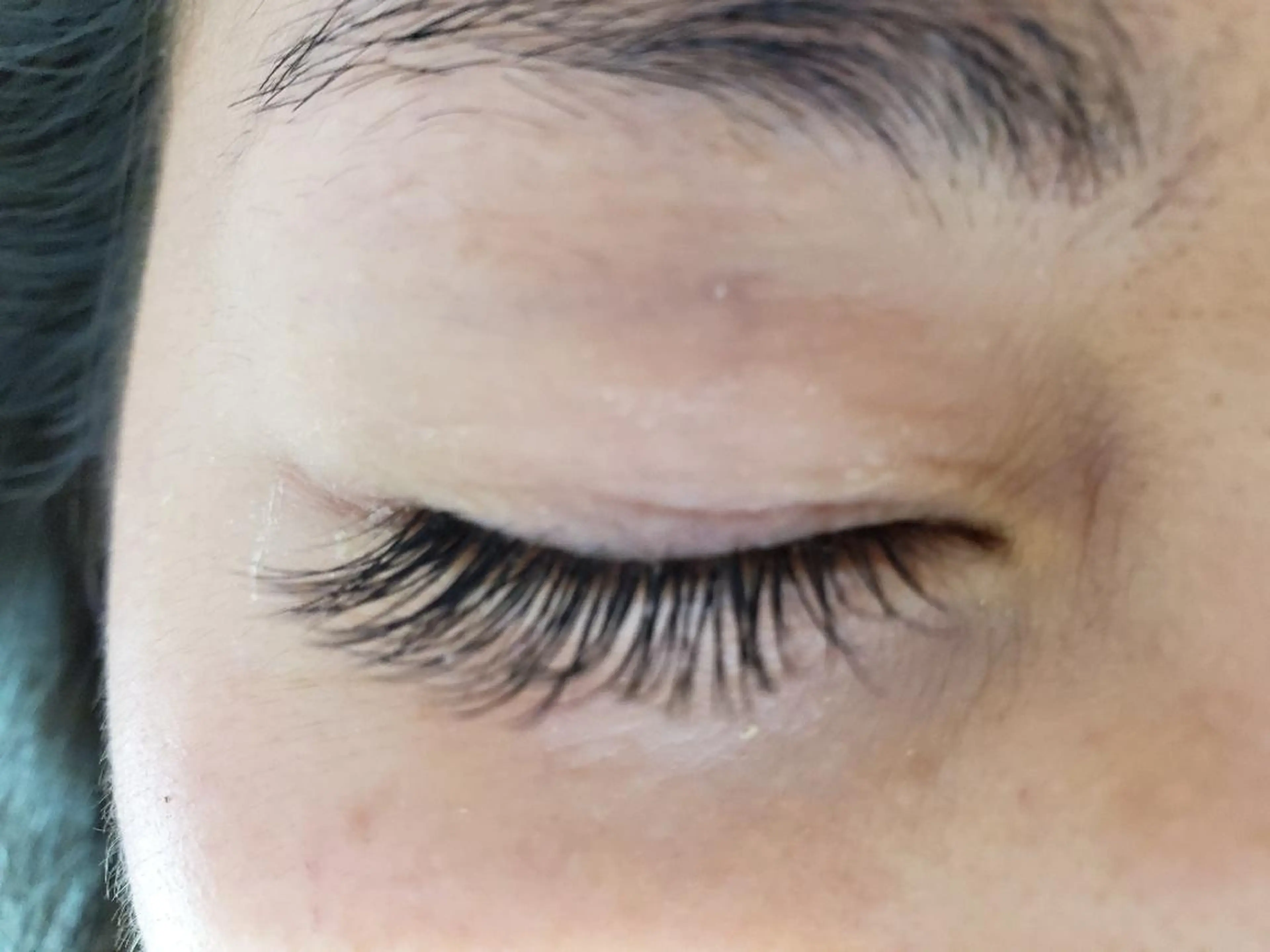 最高級セーブル100本（リペア）の写真