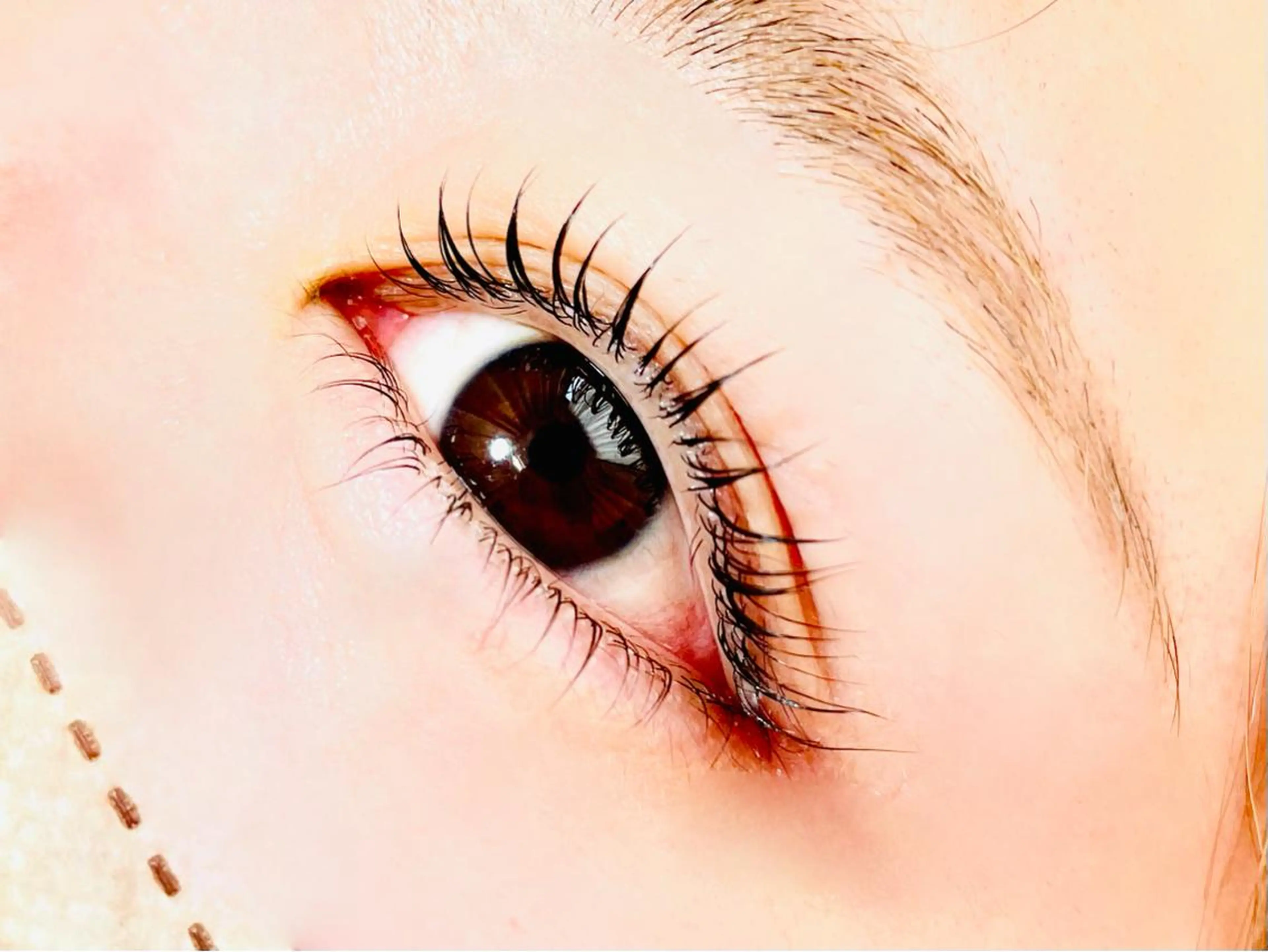 🥀まつ毛カール上下(上は一種類のカールデザインのみ)の写真