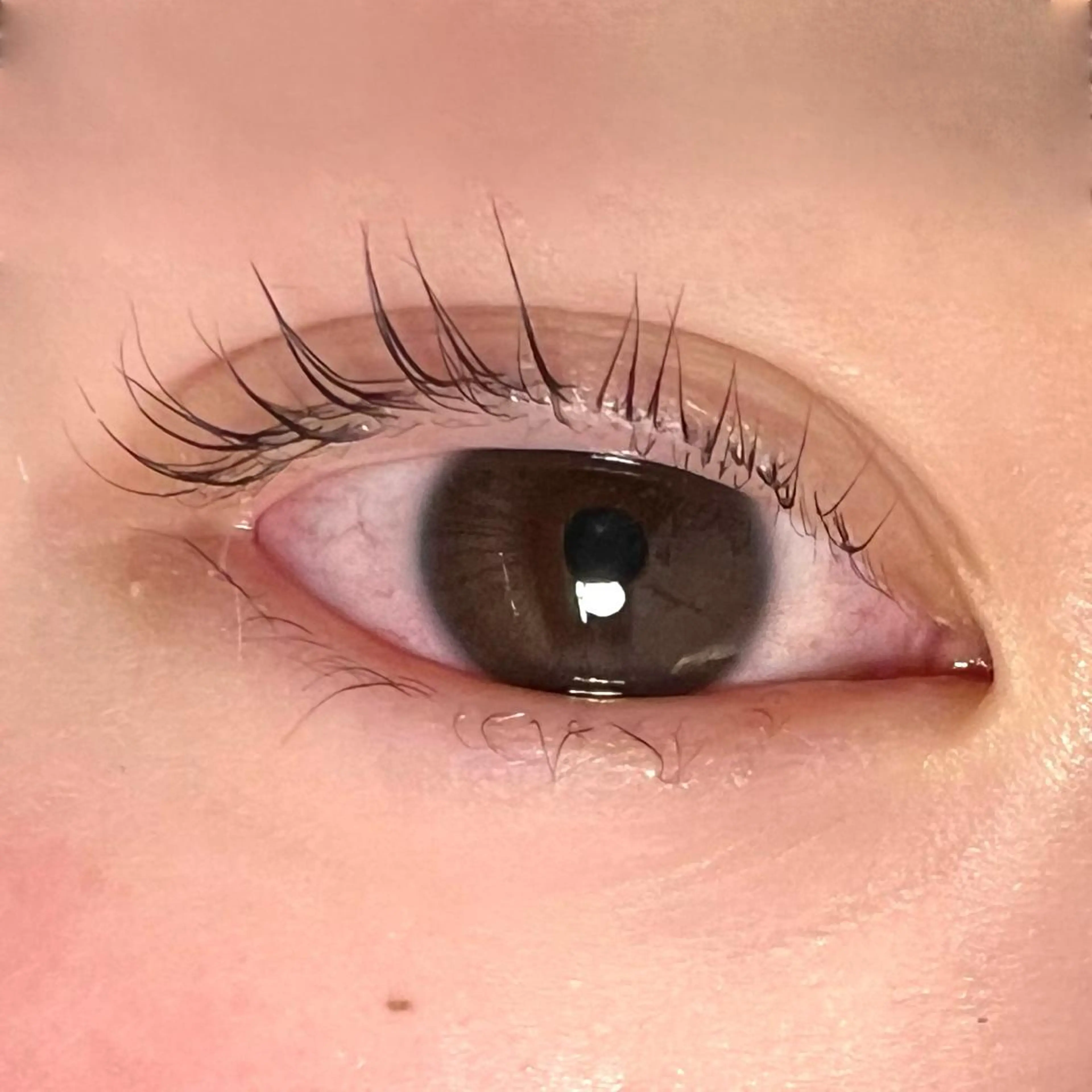 【ケラチントリートメント+アイシャンプー付き】ナチュラルパーマ🤍🎀の写真