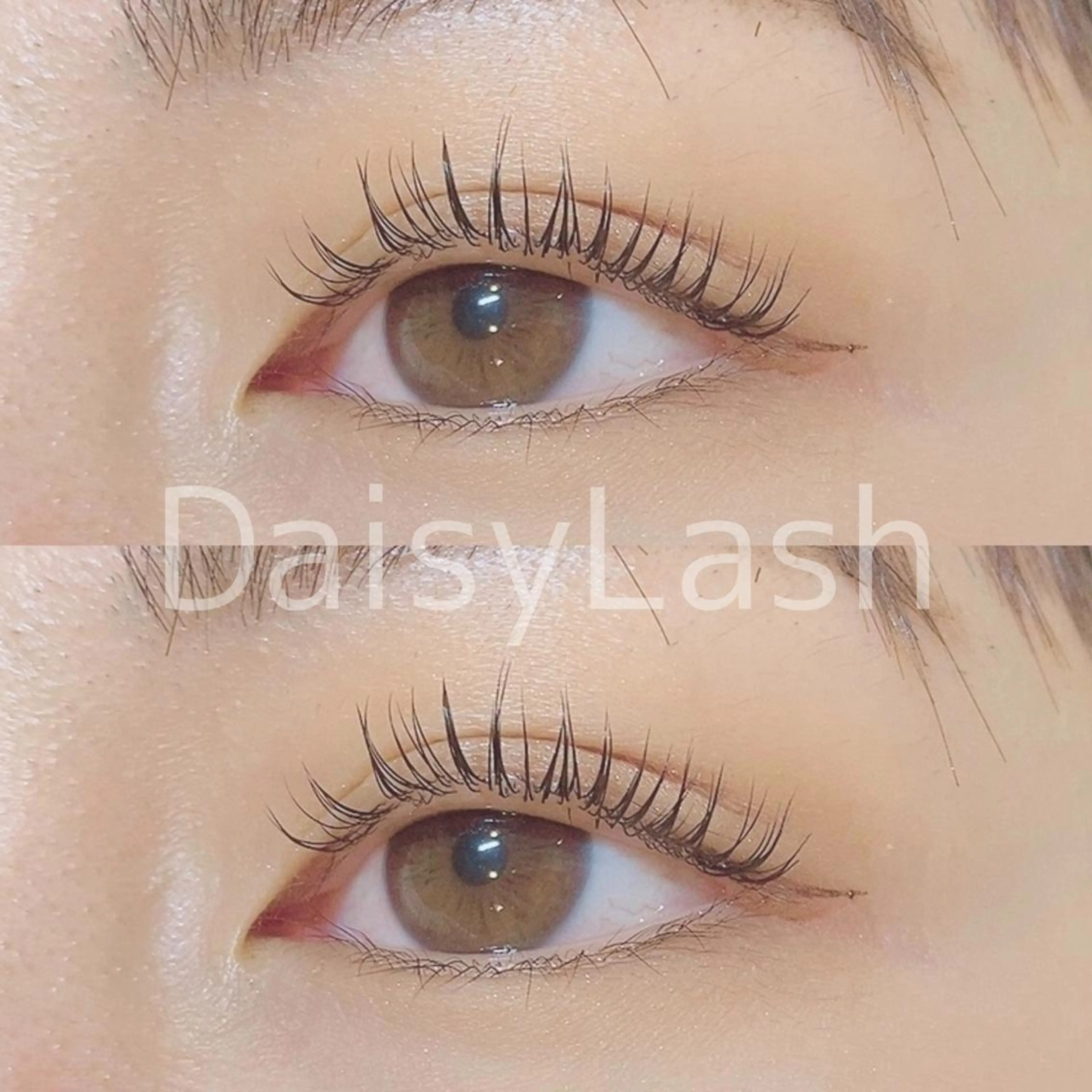 マツエク・マツパ DaisyLash 京橋店のマツエク・マツパデザイン