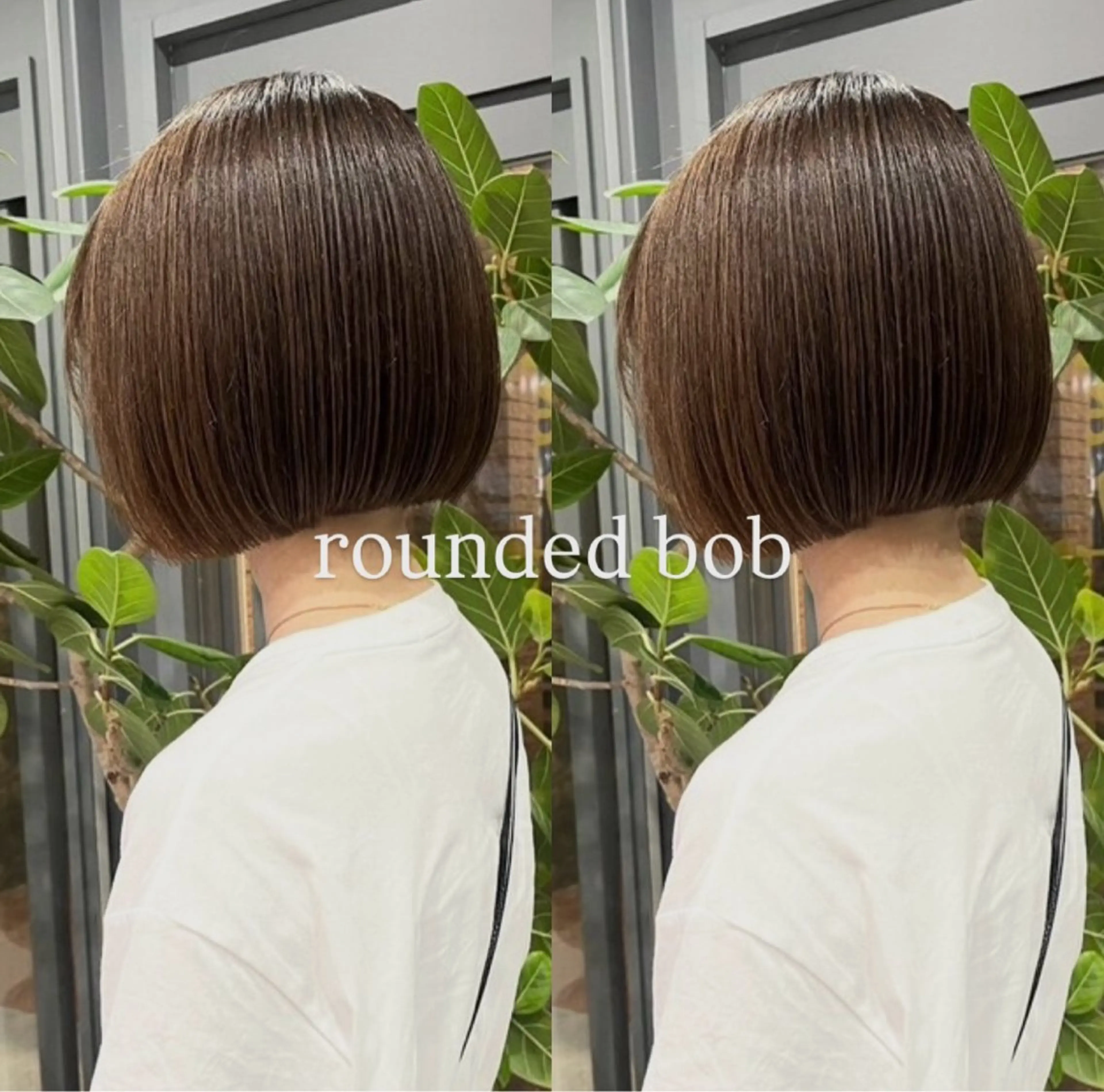 カット ヘアカラー トリートメント 🐈‍⬛JUMI /透明感カラー/🩶のヘアスタイル
