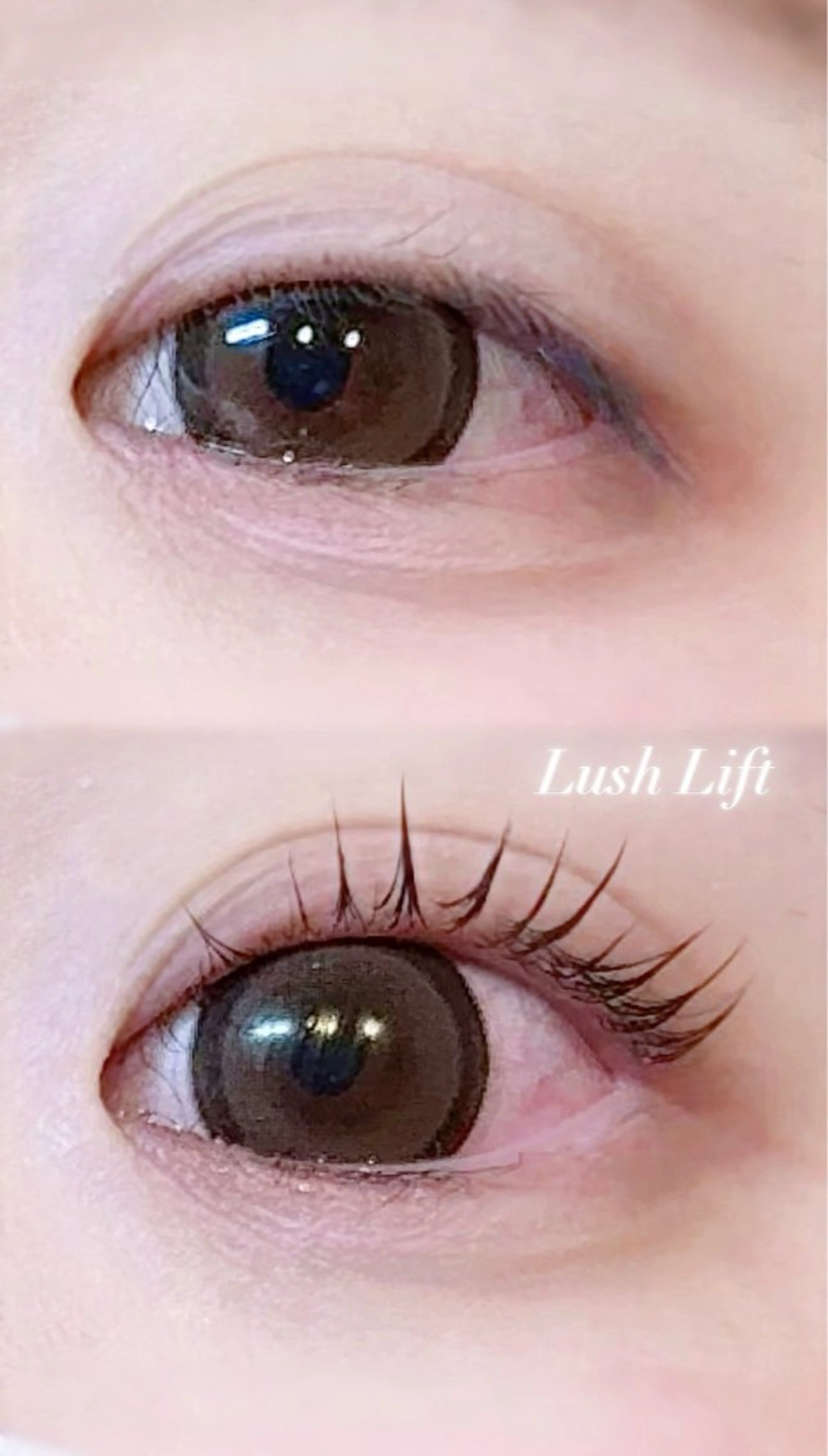 マツエク・マツパ マツパ ELRe MIUのマツエク・マツパデザイン