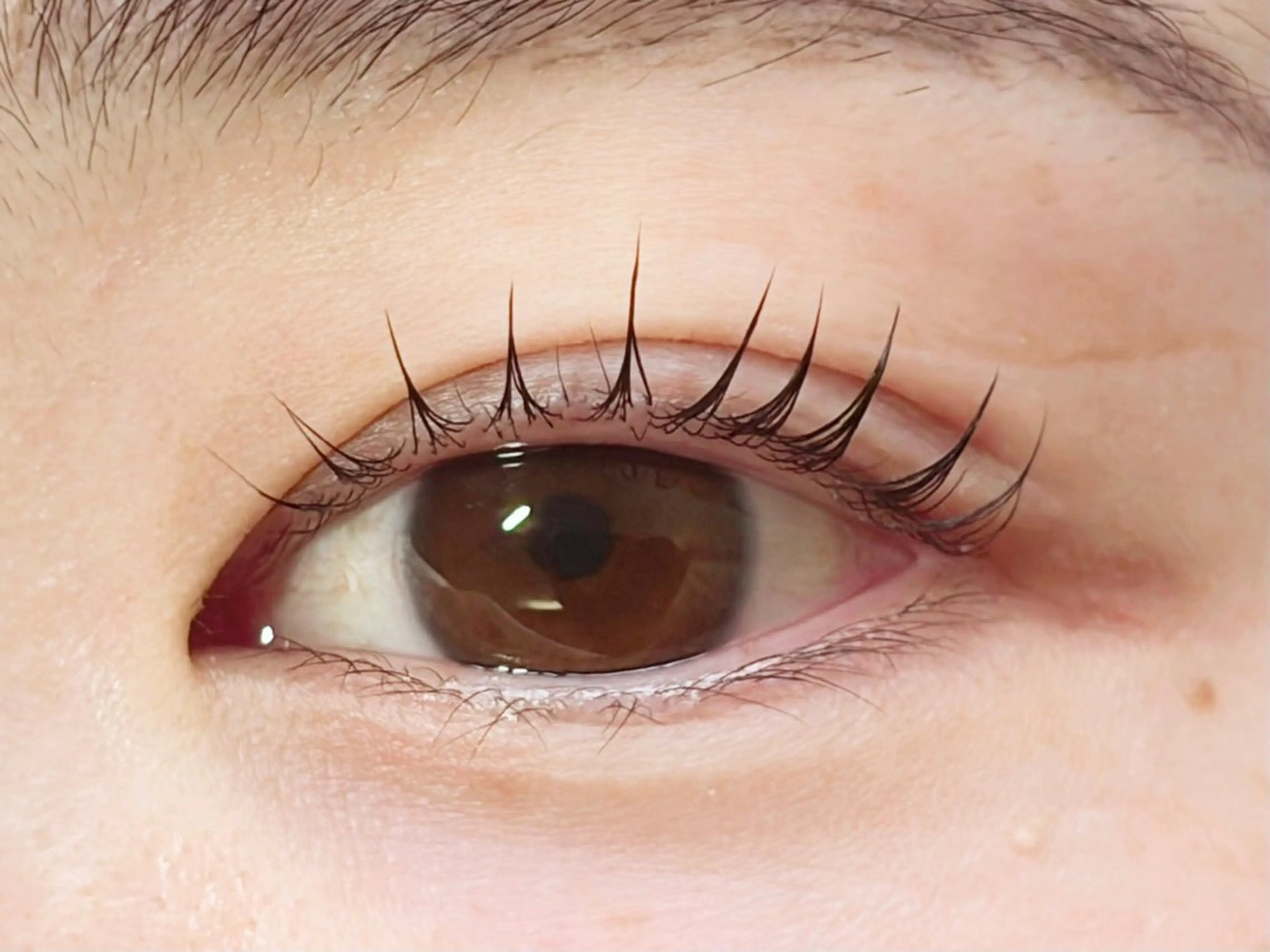 マツエク・マツパ マツパ Rinto/ makoのマツエク・マツパデザイン