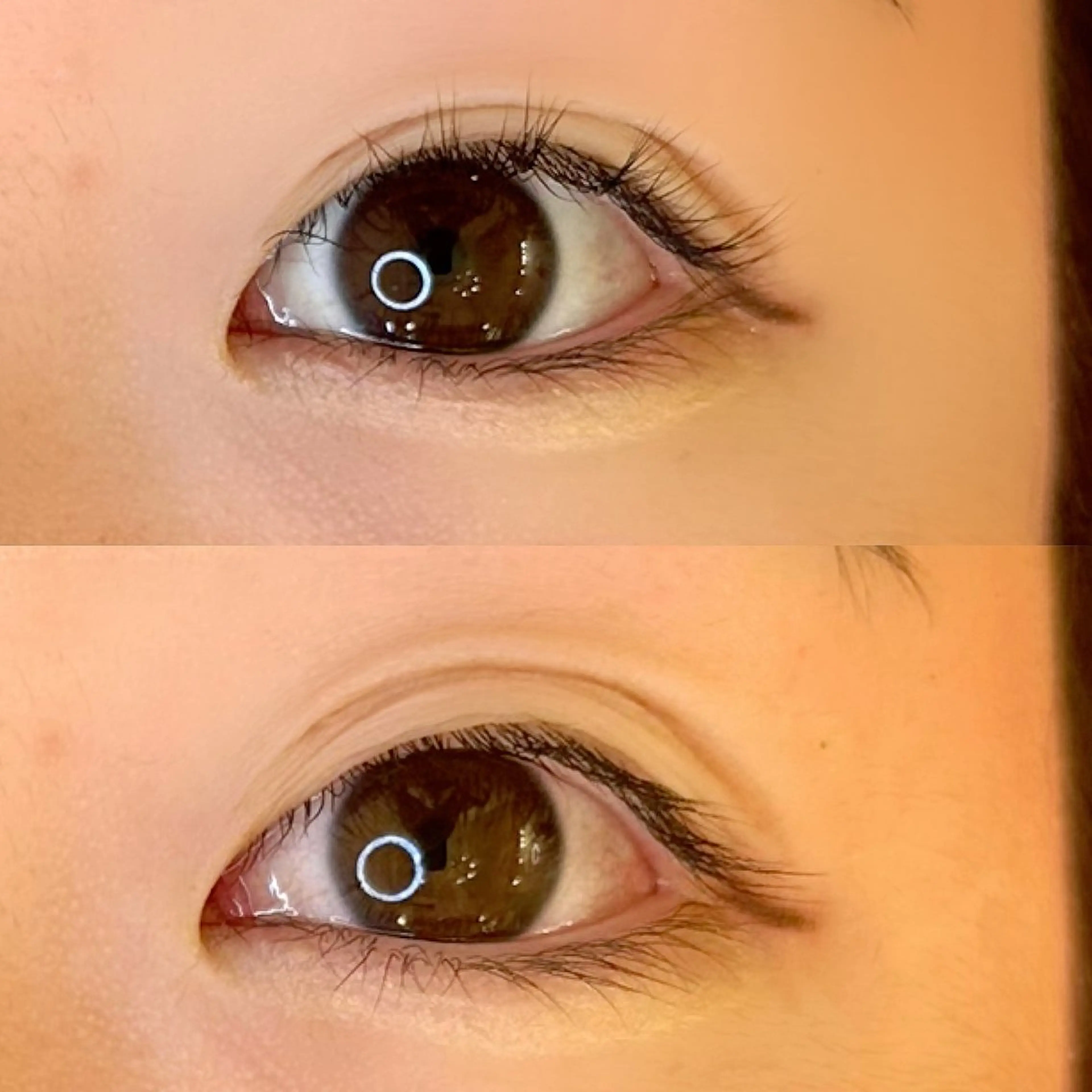 マツエク・マツパ パリジェンヌ/まつパ RoseLashのネイルデザイン