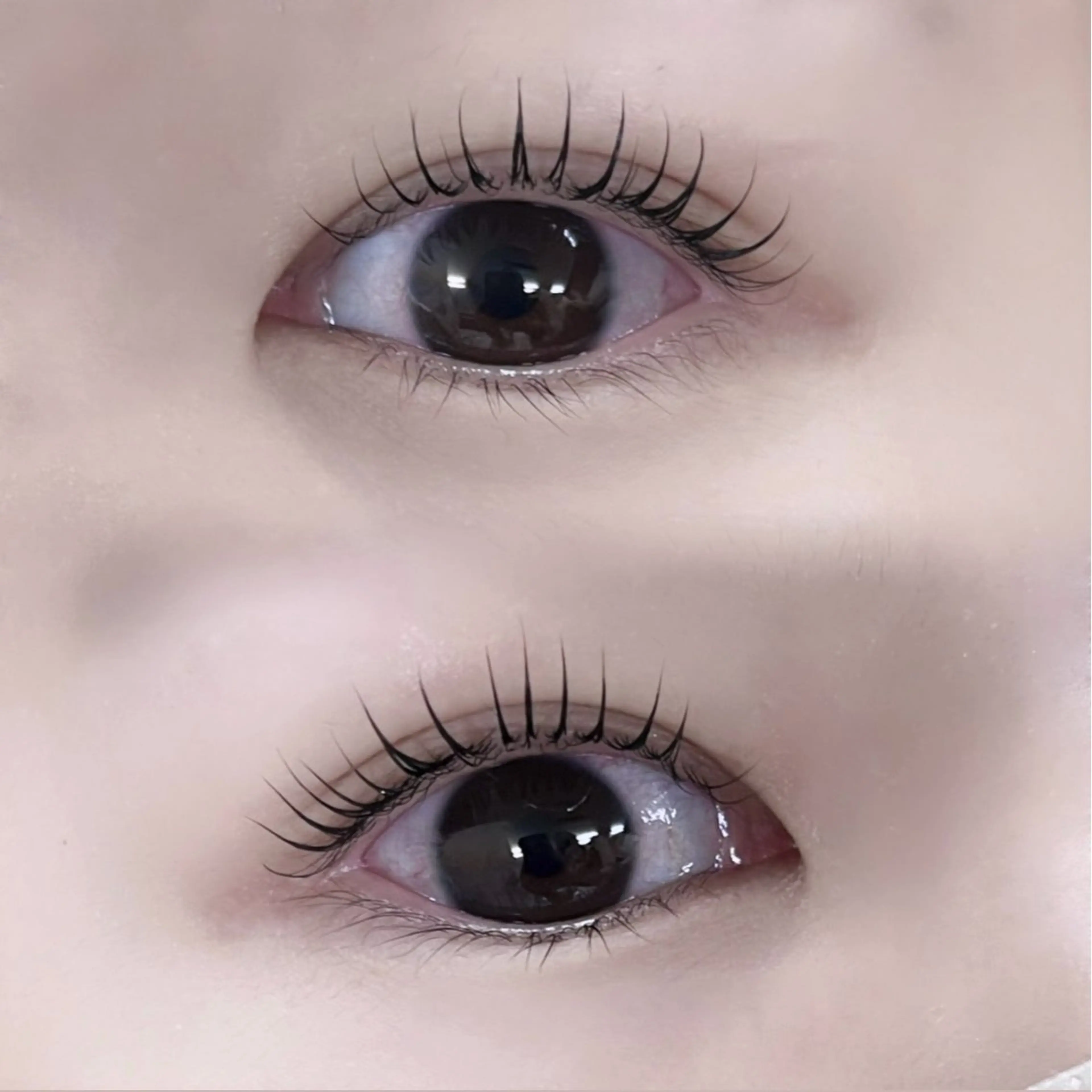 マツエク・マツパ Cカール BIANCA神楽坂 🎀タカハシのマツエク・マツパデザイン