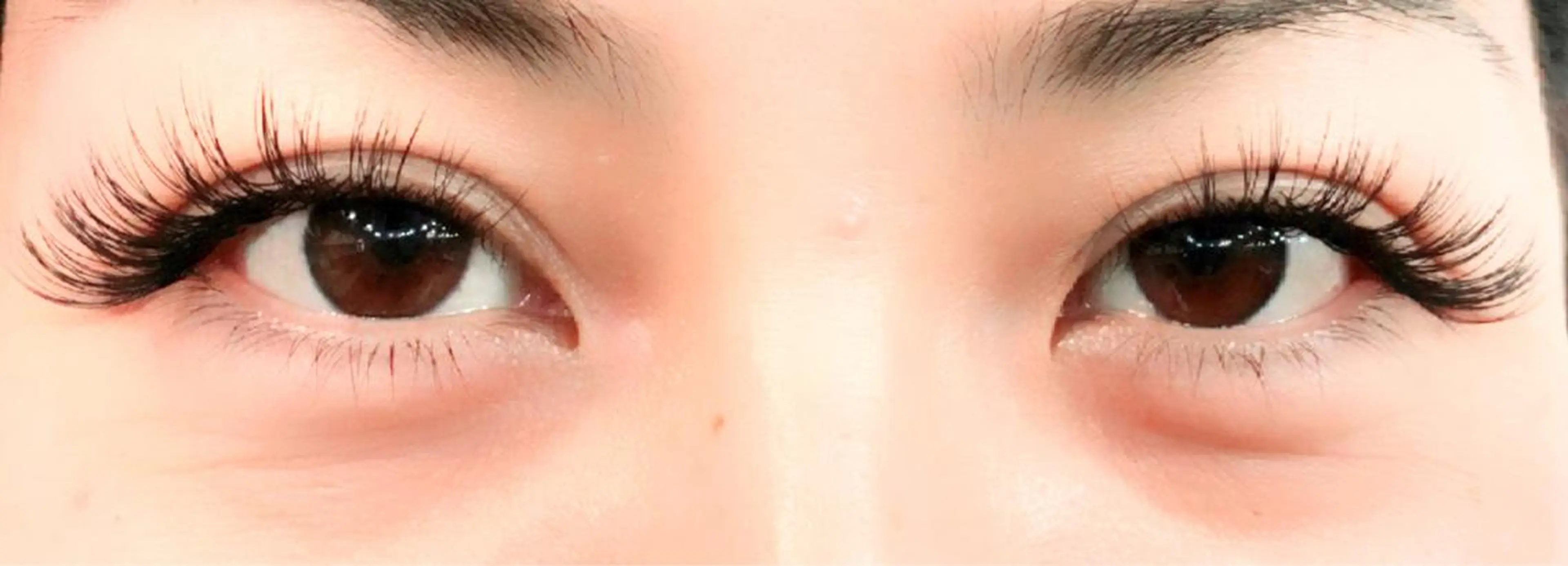 マツエク・マツパ セーブル 🥚Sumire🥚 アイデザイナーのマツエク・マツパデザイン