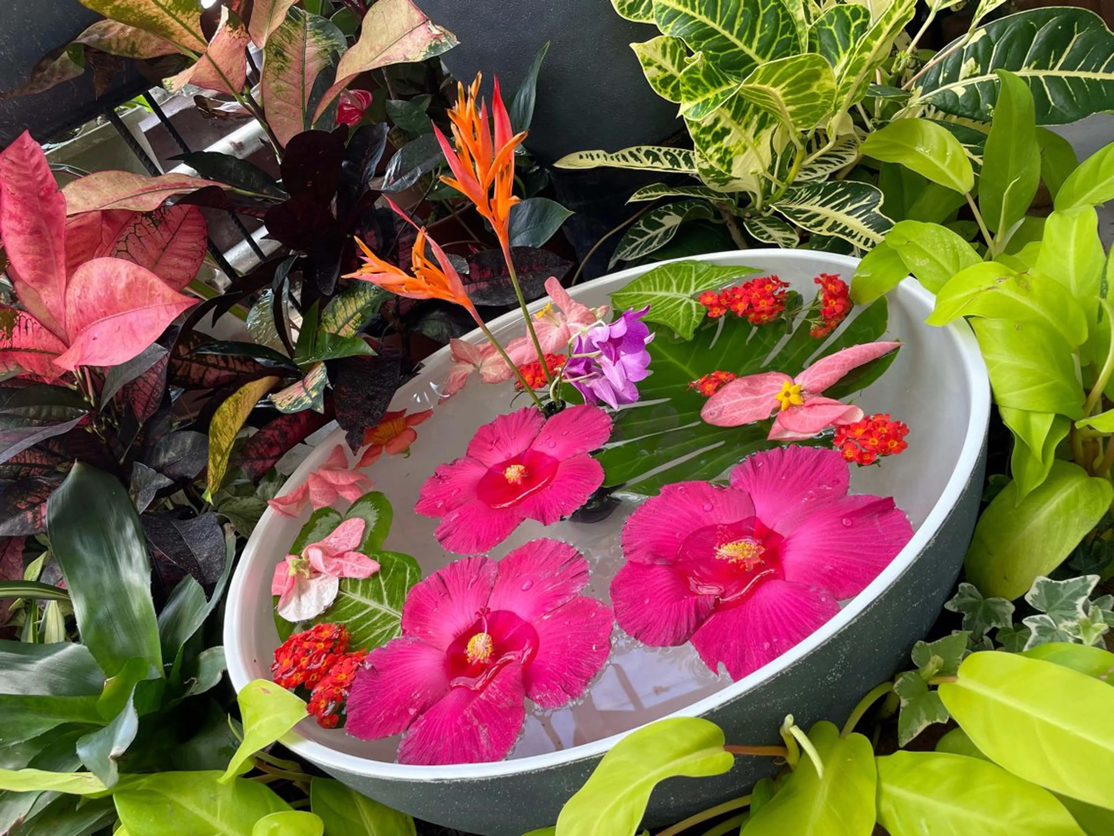 まつ毛パーマの写真