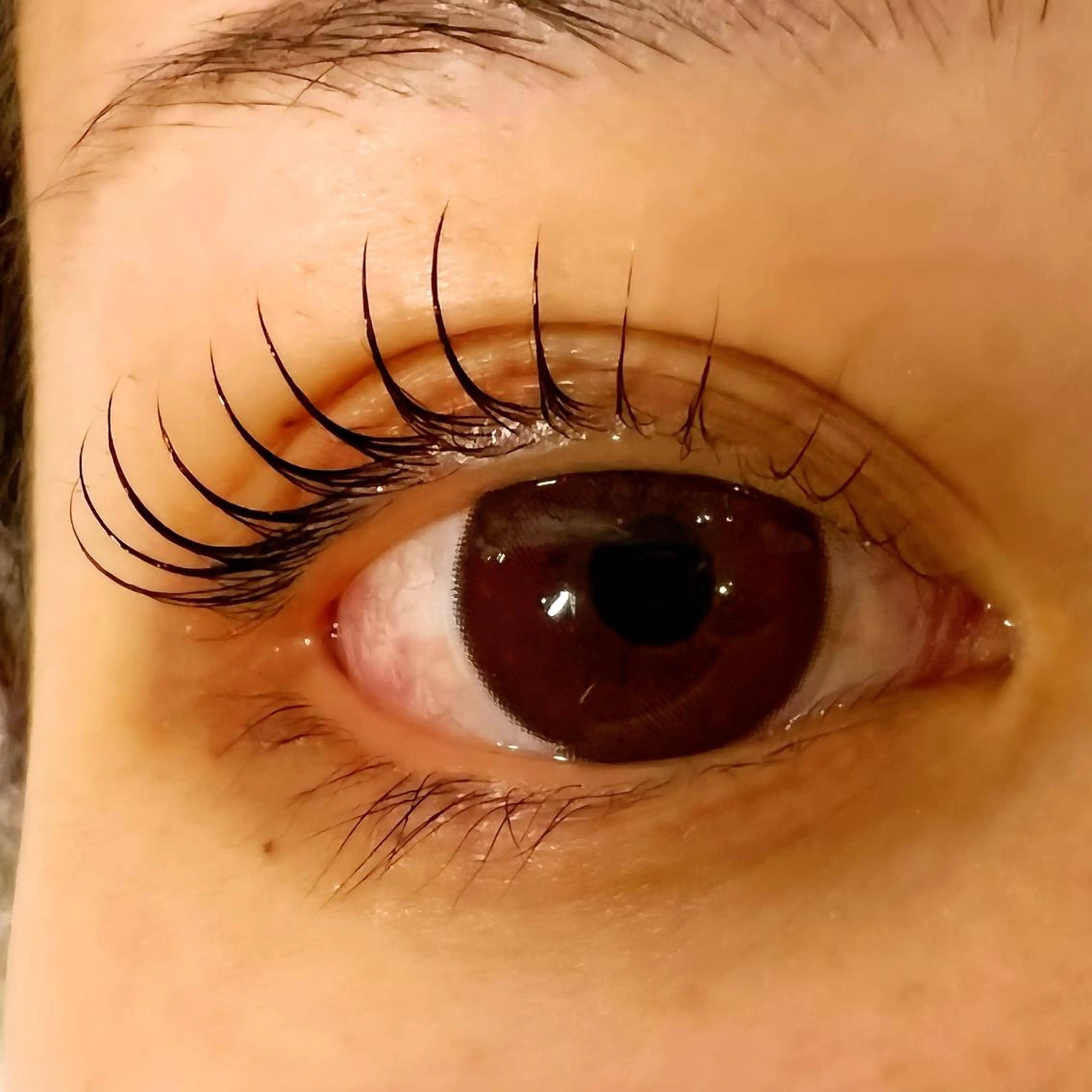 マツエク・マツパ Celeste Venus所属・🧸Celeste Venusのマツエク・マツパデザイン