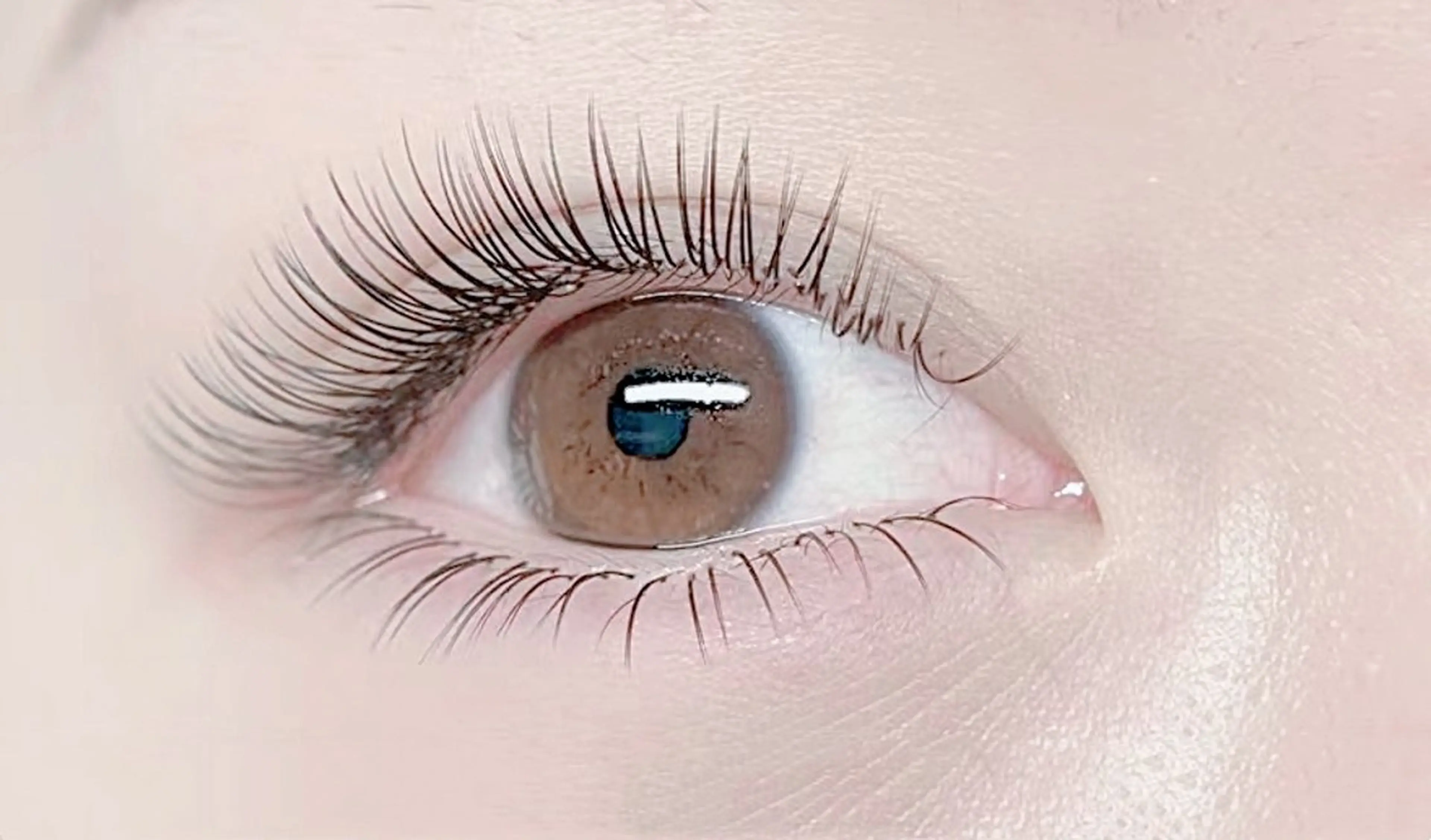 【オフ無料★軽さに感動】フラットラッシュ120本   ￥ 6980→ ￥ 5180二回目から¥6180の写真