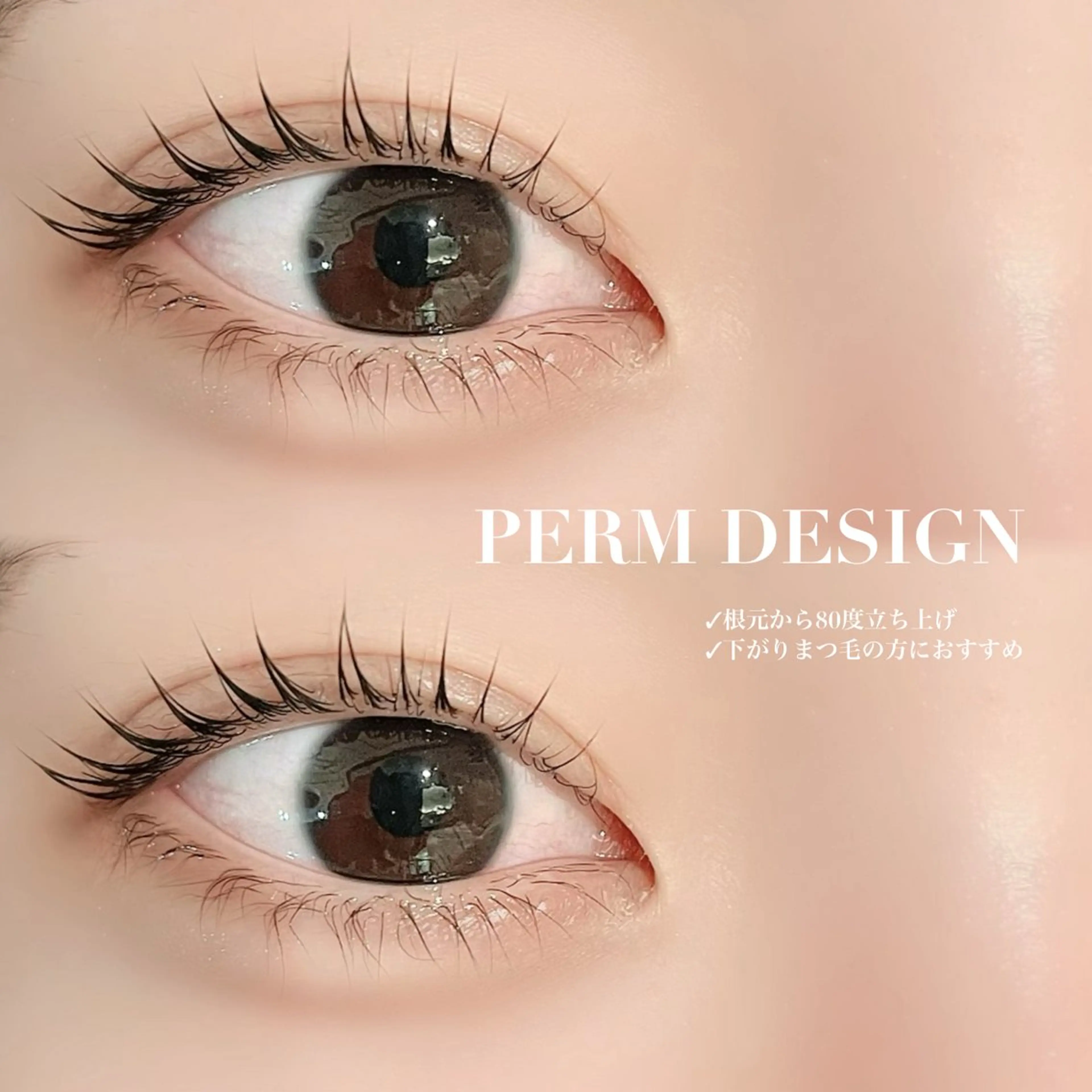 🫧ご新規様限定【 上下まつげパーマ 】美容コーティング仕上げ🫧の写真