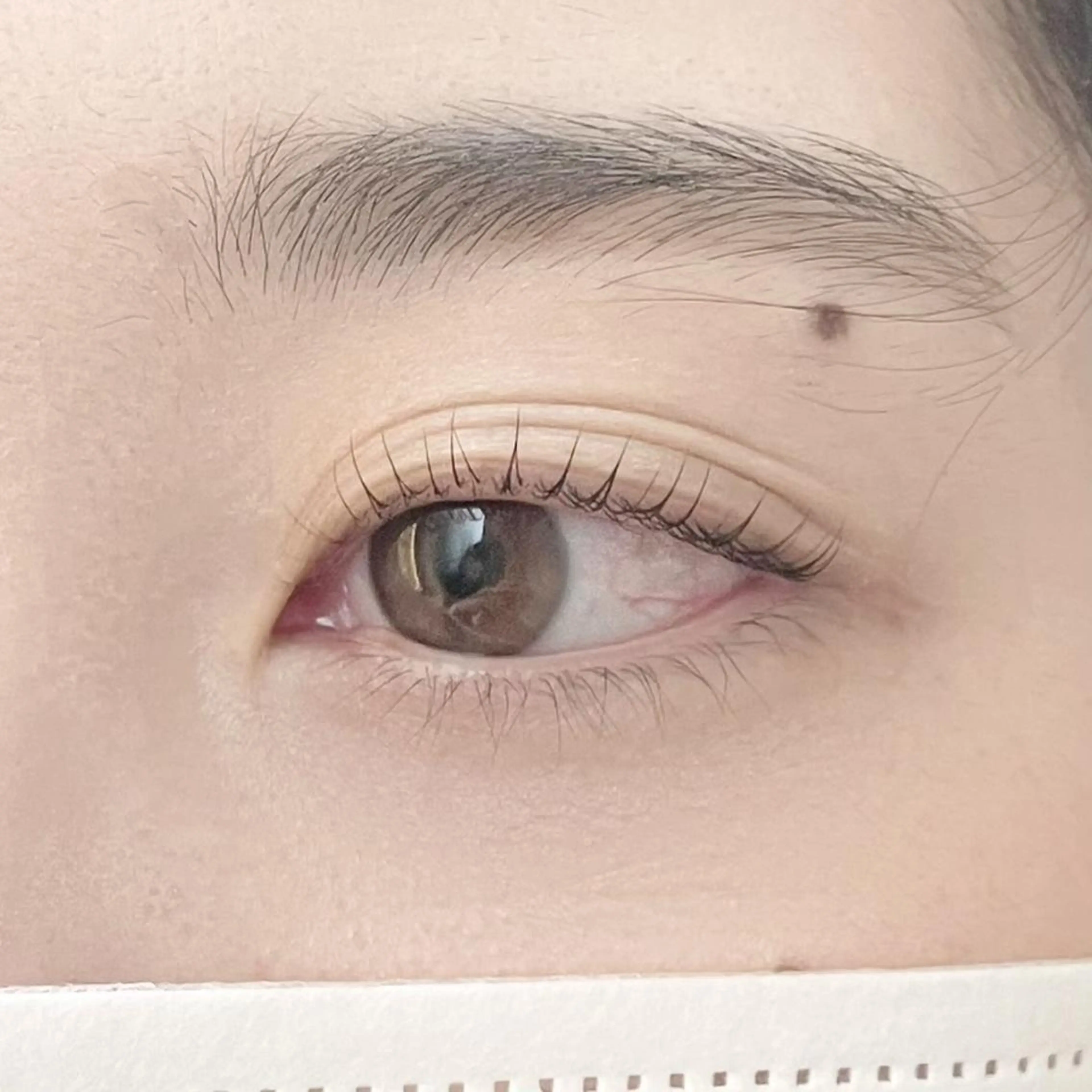 マツエク・マツパ バインドロック 束感まつ毛 フラットラッシュ 韓国風マツエク パリジェンヌラッシュリフト loa🫧 幸町店のマツエク・マツパデザイン