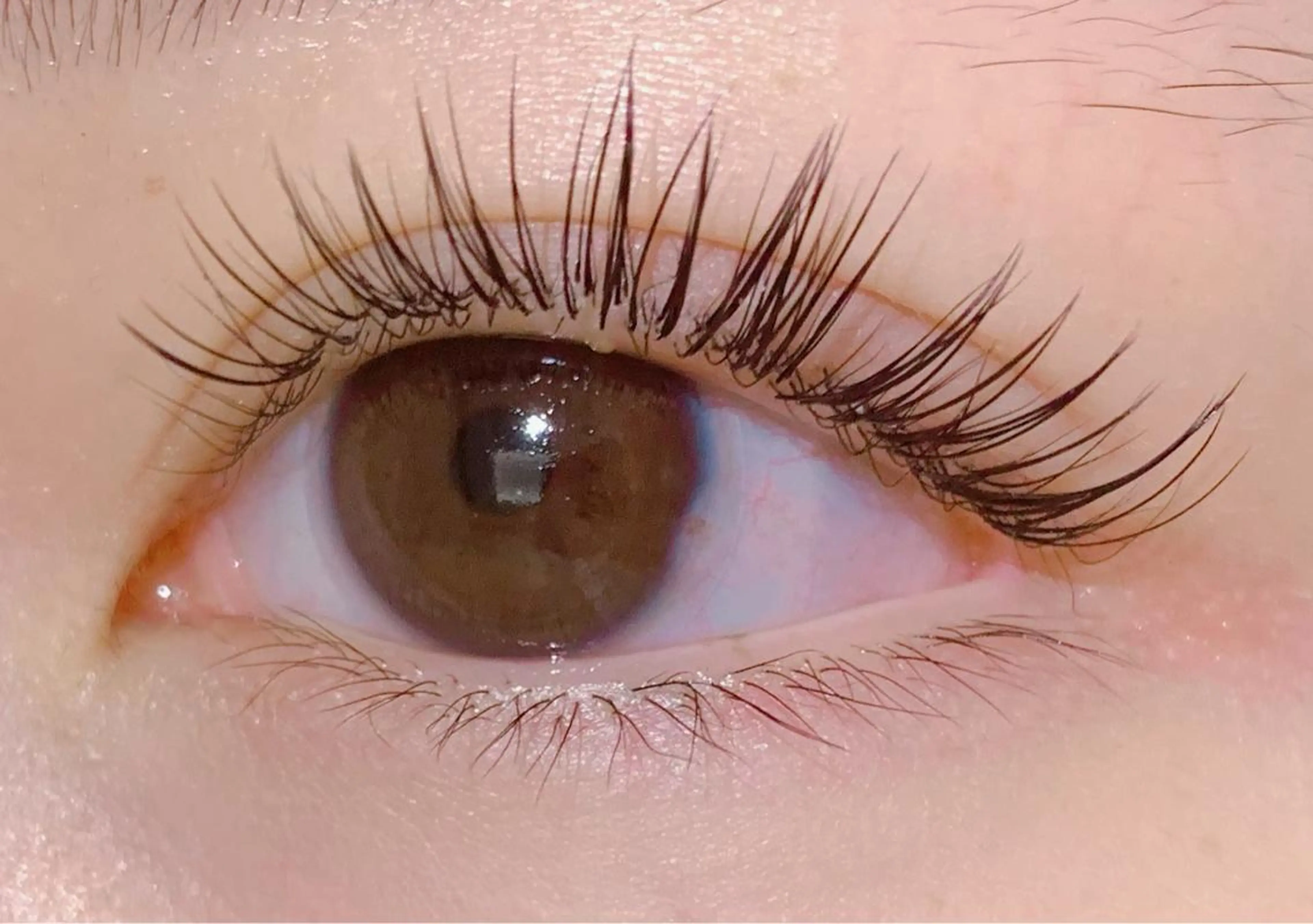 マツエク・マツパ フラットラッシュ パリジェンヌラッシュリフト 銀座/LEDマツエク 高宮のマツエク・マツパデザイン