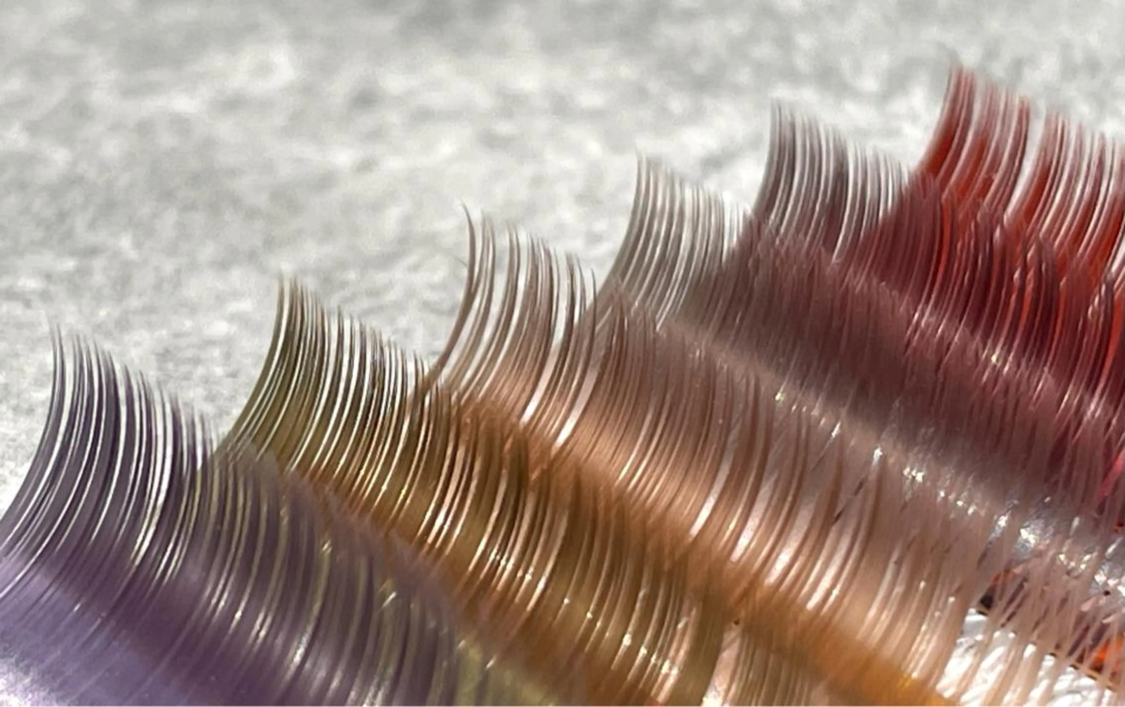 マツエク・マツパ フラットラッシュ 海外風まつげ眉毛 恵比寿｜masayoのマツエク・マツパデザイン