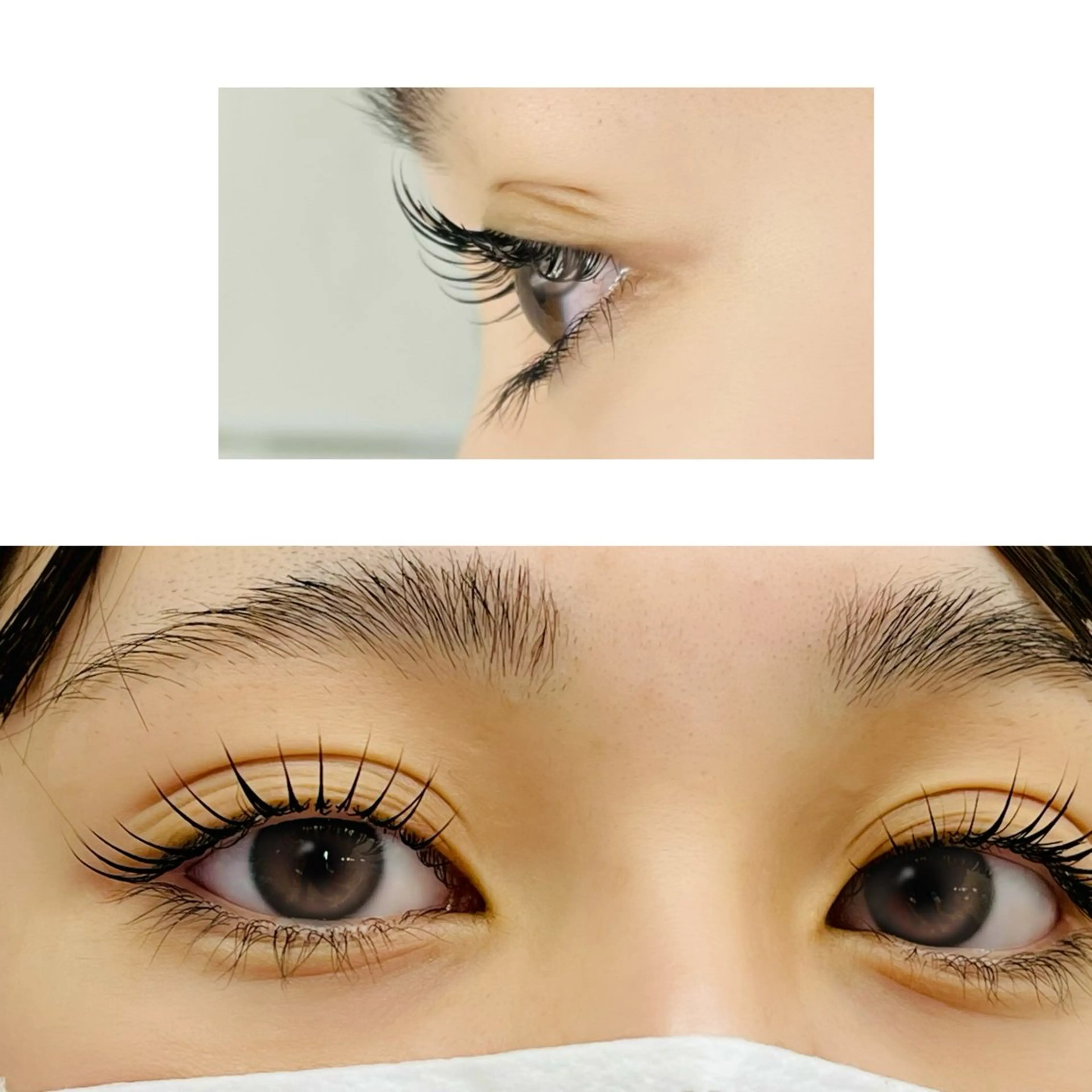 マツエク・マツパ Amour 🌸Ayakoの眉毛・アイブロウイメージ