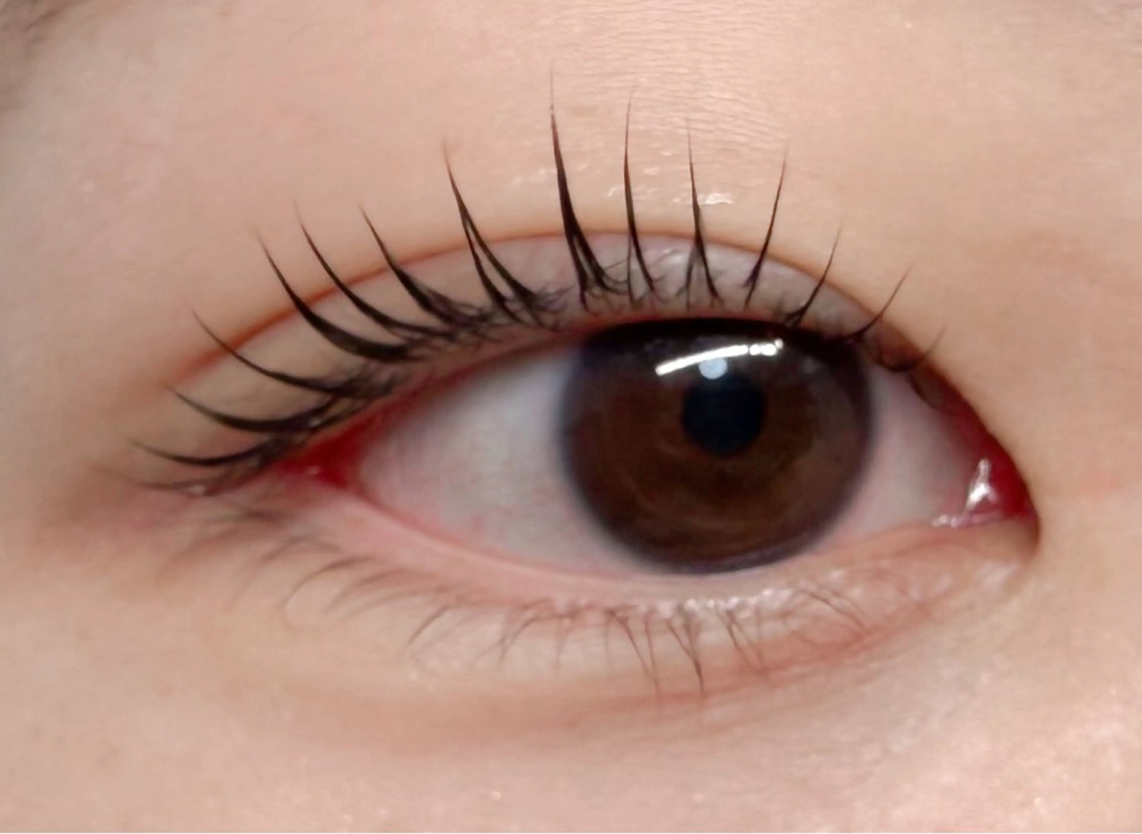 マツエク・マツパ Areum所属・杉野 まみのマツエク・マツパデザイン