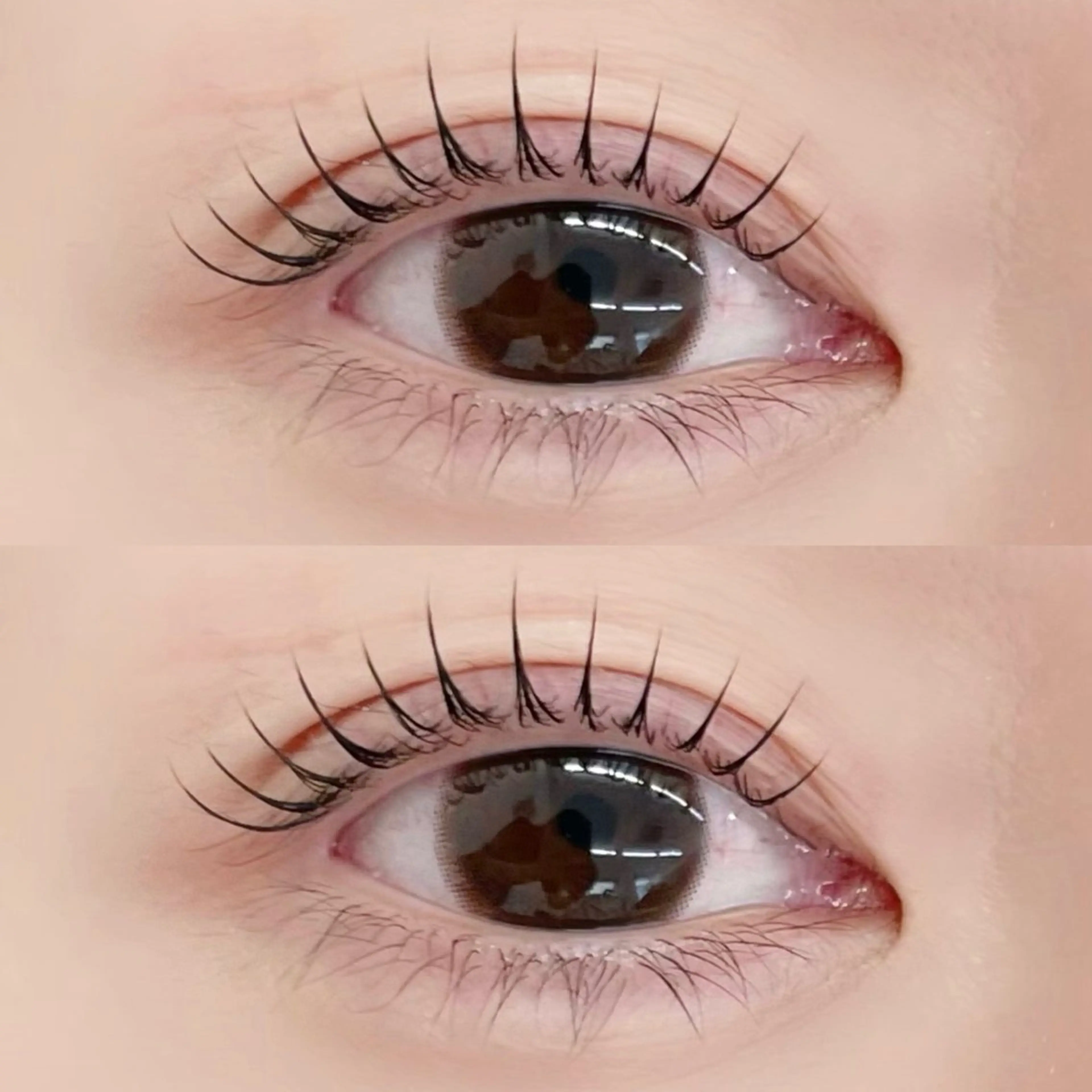 【ご新規様】🕊️次世代まつげパーマの写真