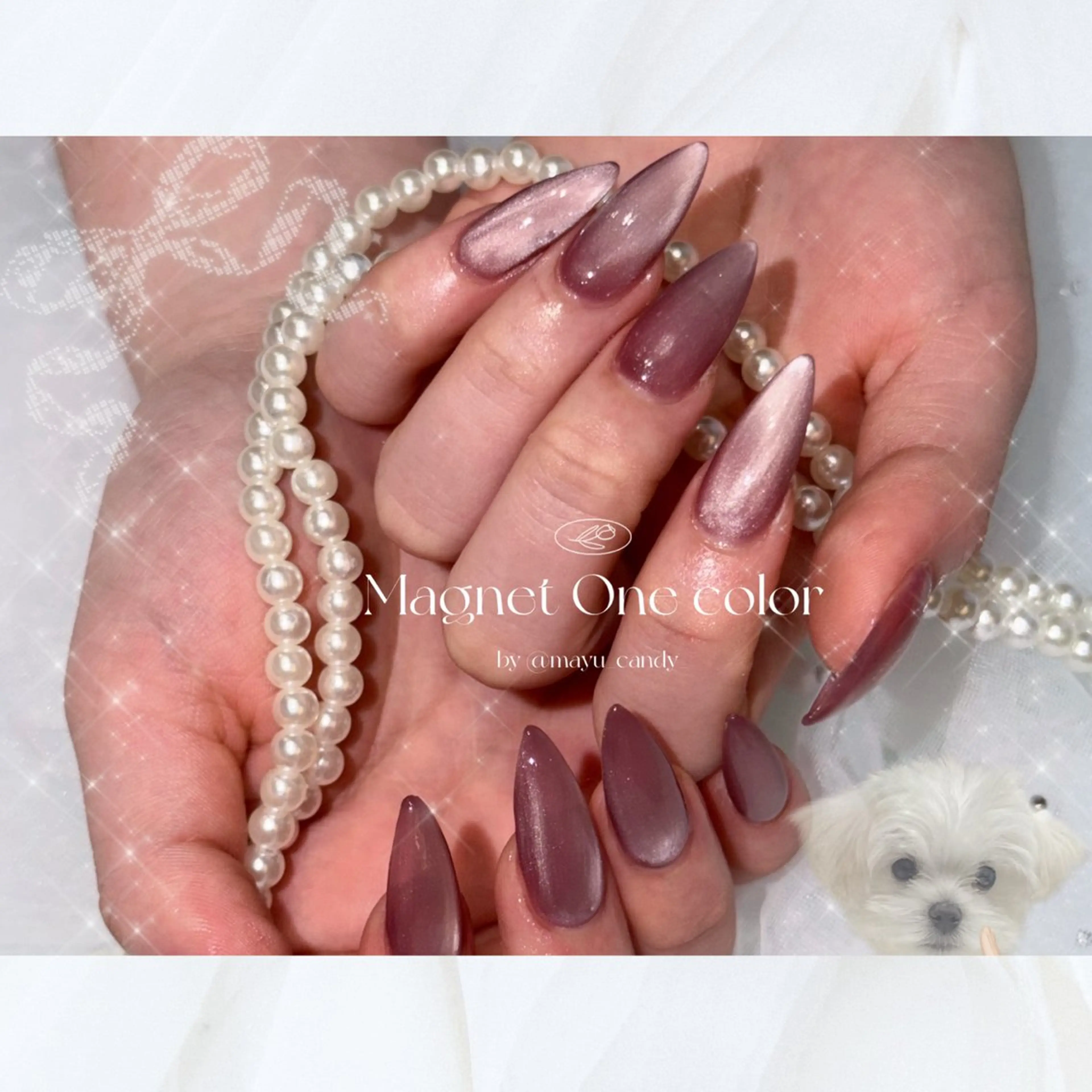 ネイル 長さ出し フラッシュネイル 韓国ネイル マグネットネイル ワンカラーネイル 827nail所属・mayu 🐈🐾のネイルデザイン