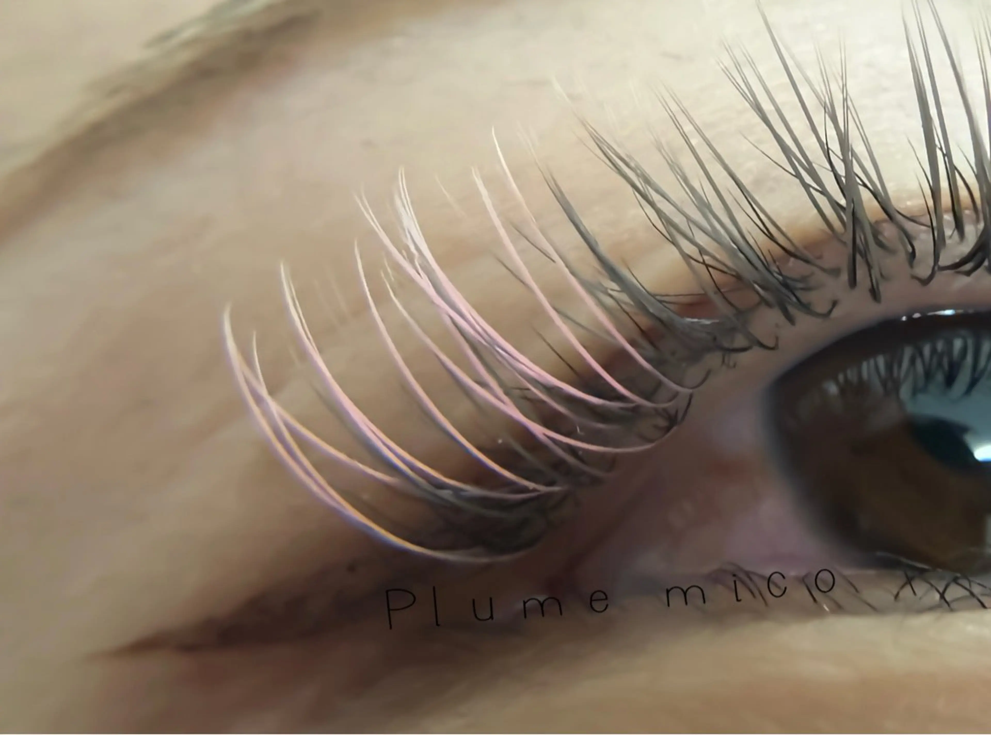 マツエク・マツパ マツエク Plume micoのマツエク・マツパデザイン