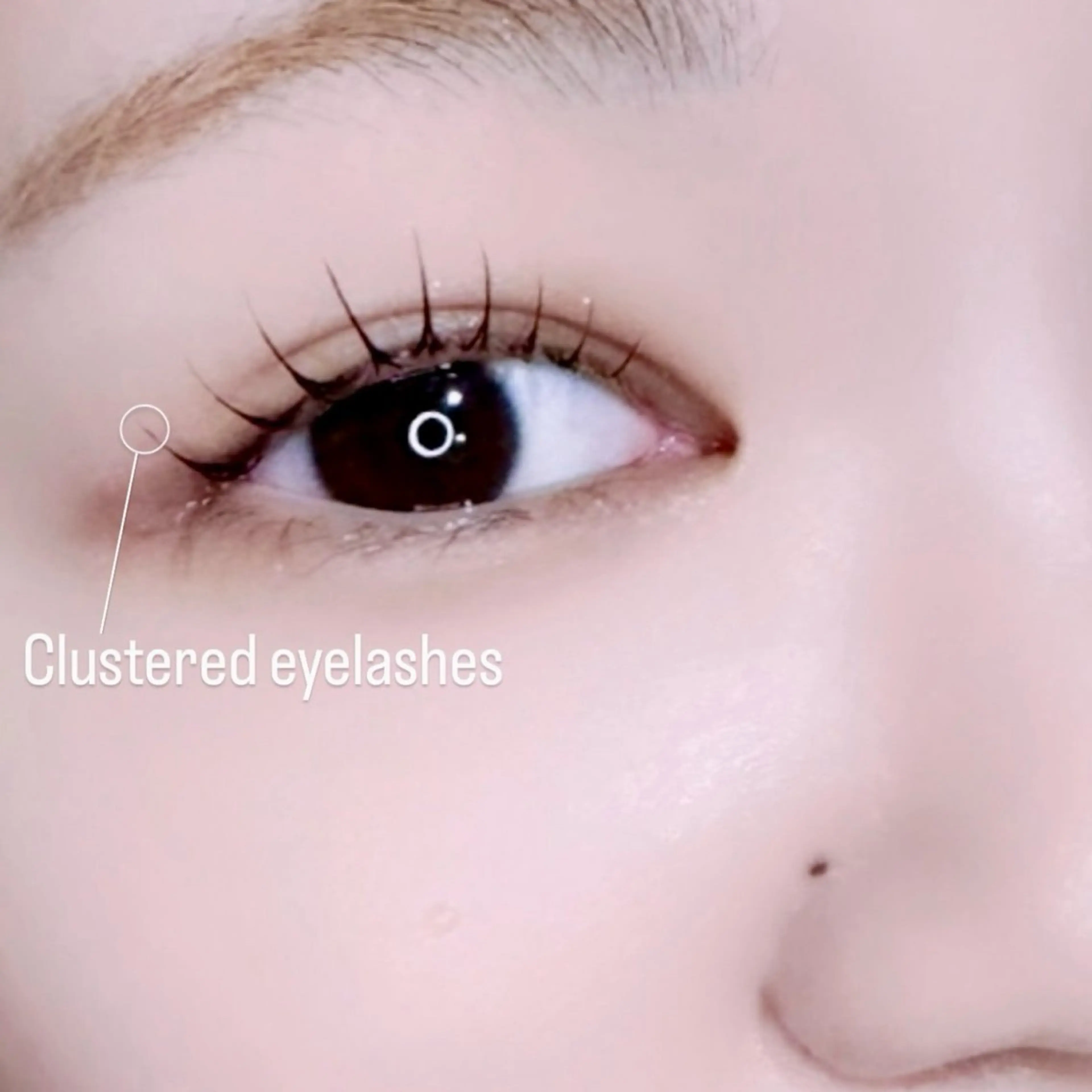 マツエク・マツパ マツパ 🦖fein. YUINA🦕⋆͛のマツエク・マツパデザイン