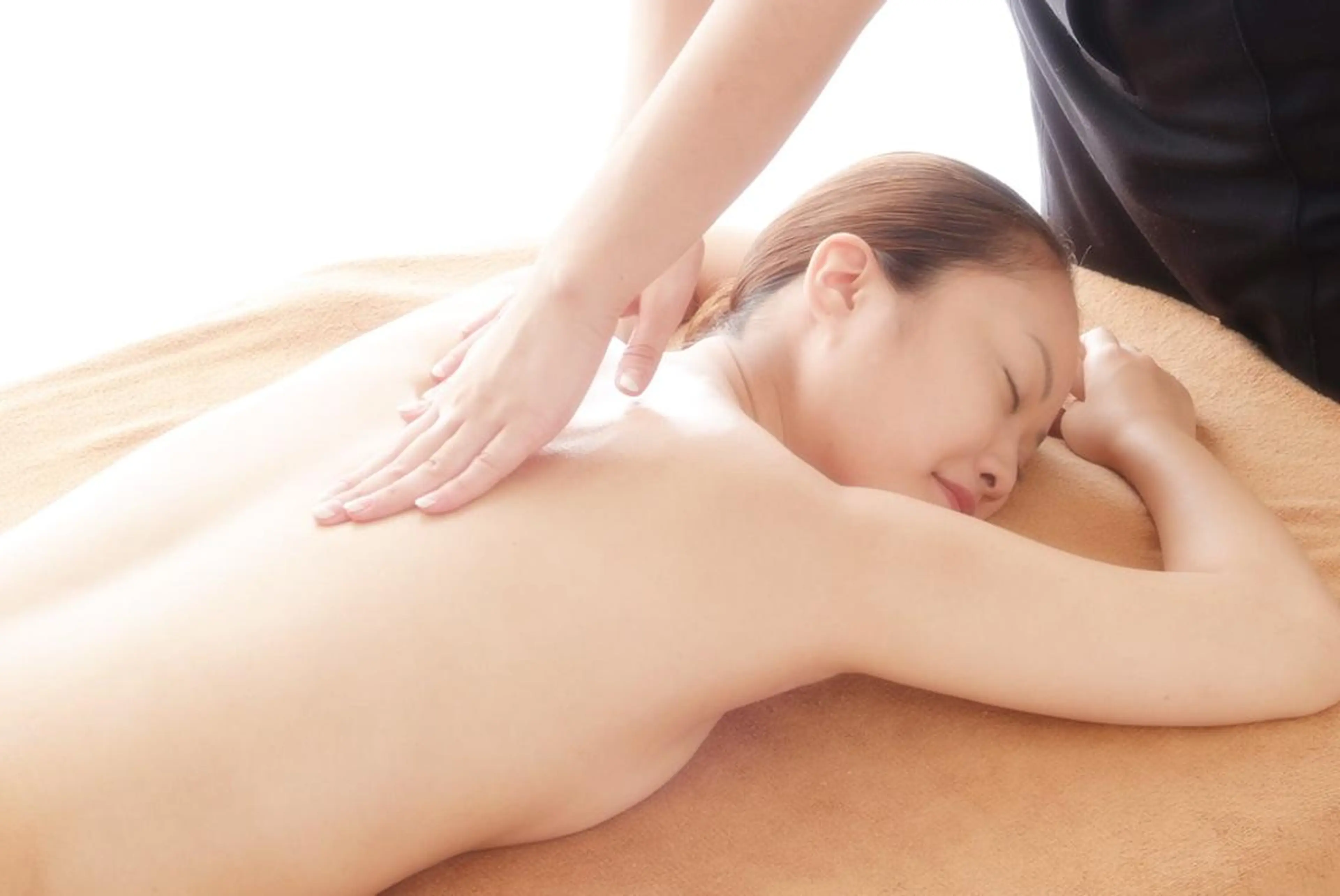 全身バリニーズの写真