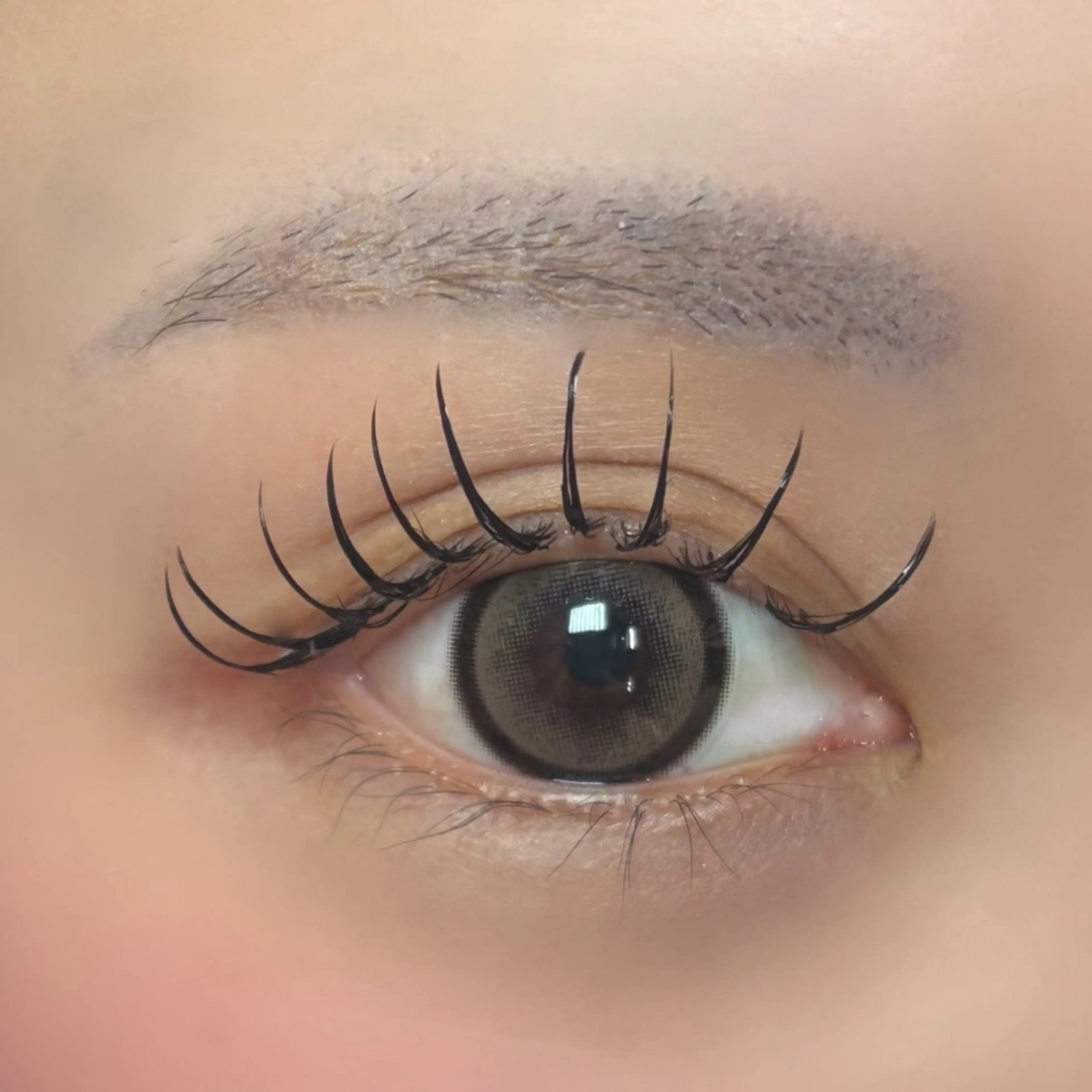 マツエク・マツパ seek北梅田 モデル募集用のマツエク・マツパデザイン