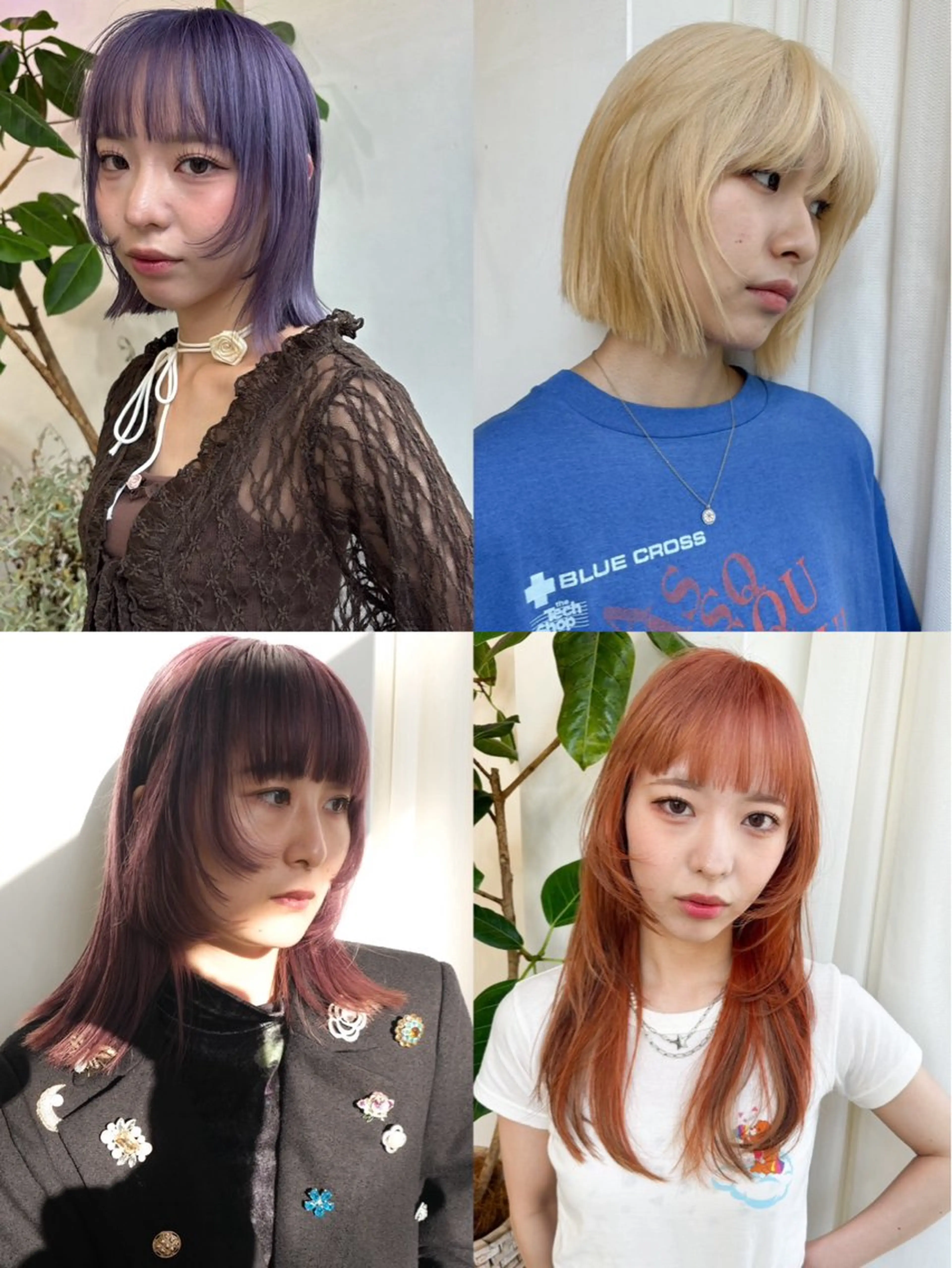 【💗高校卒業クーポン】顔周りカット➕ブリーチカラーの写真