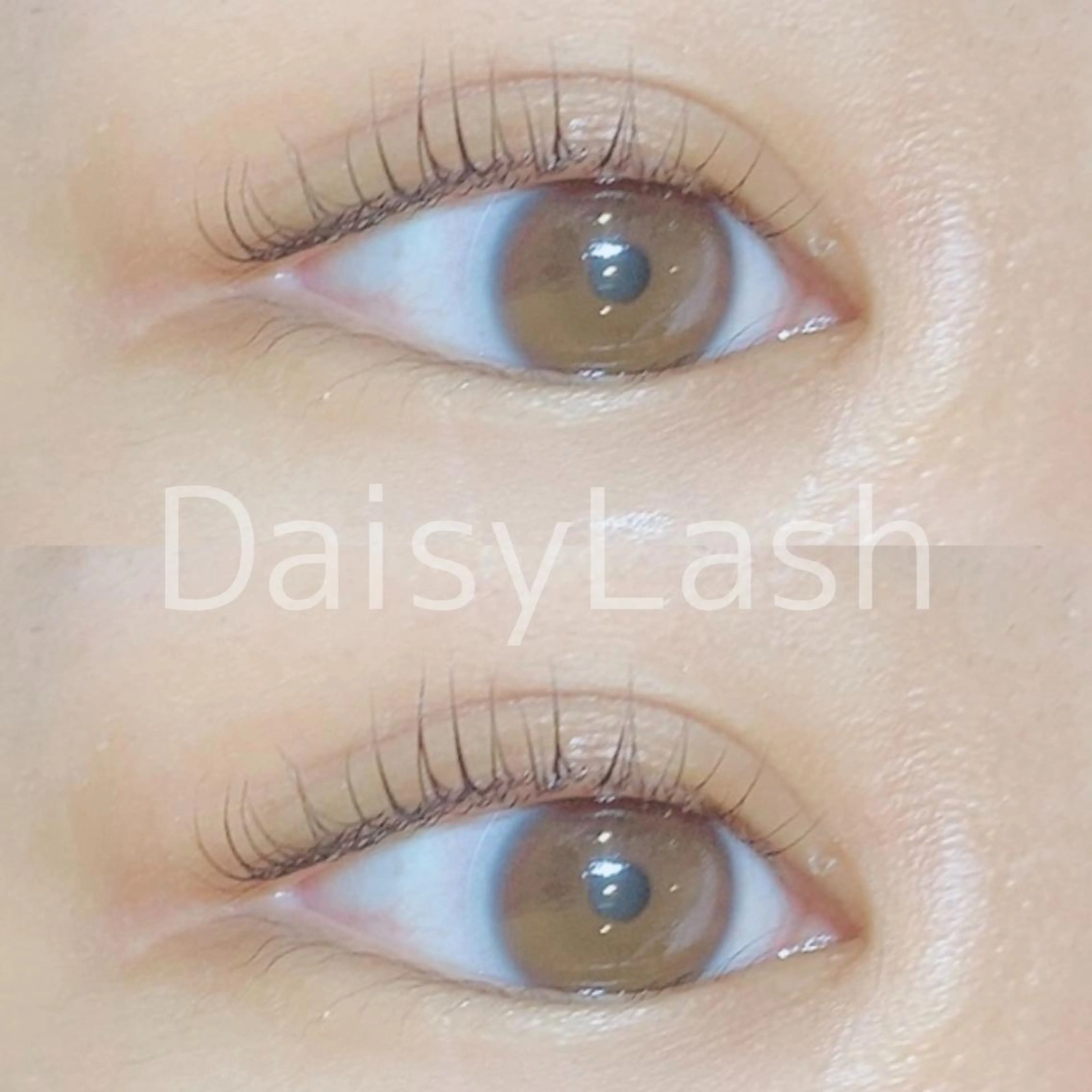 マツエク・マツパ DaisyLash 京橋店のマツエク・マツパデザイン