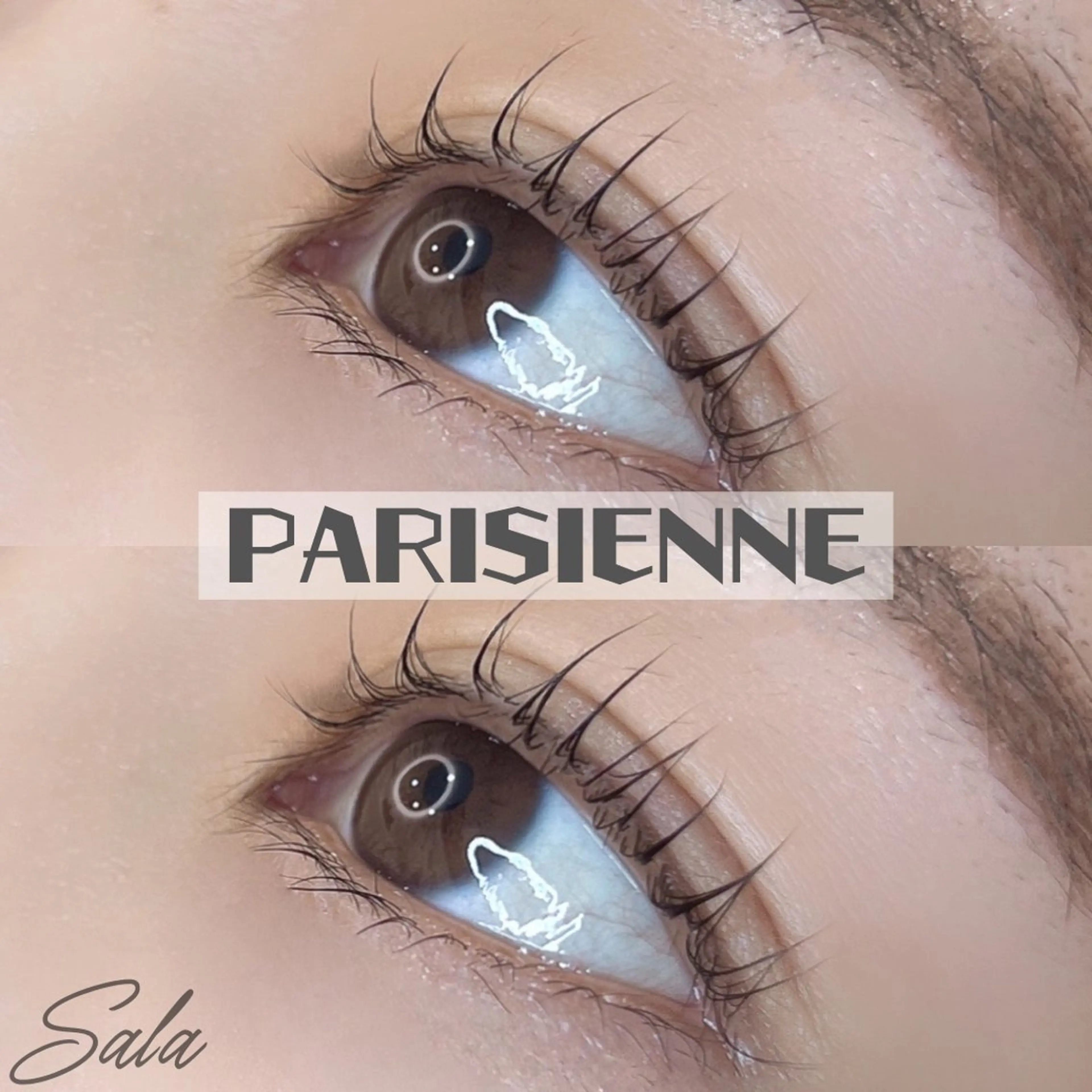 マツエク・マツパ パリジェンヌラッシュリフト トータルビューティー サロンSalaのマツエク・マツパデザイン