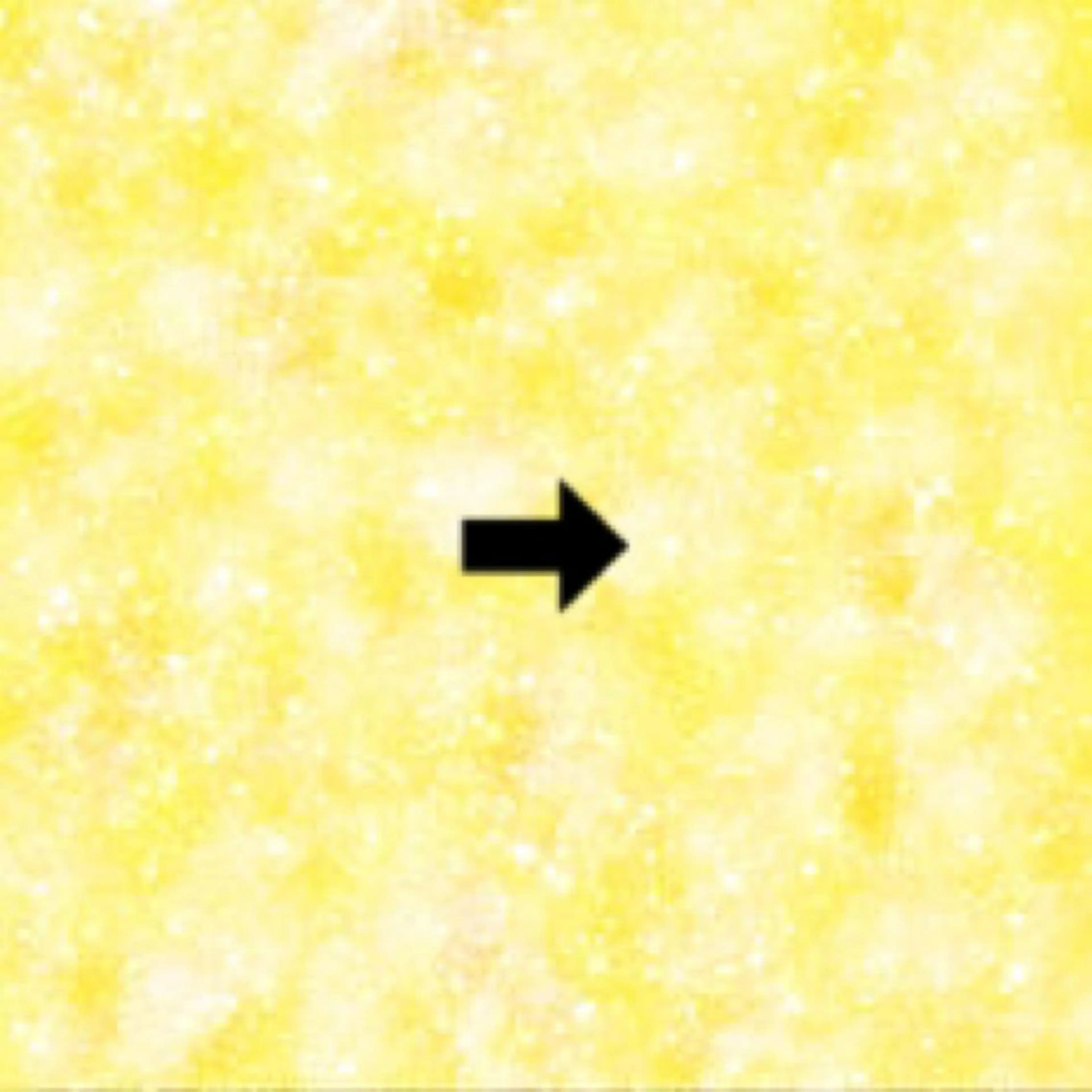 ミディアム カラー 白髪ぼかしハイライト 柳川拓哉のヘアスタイル