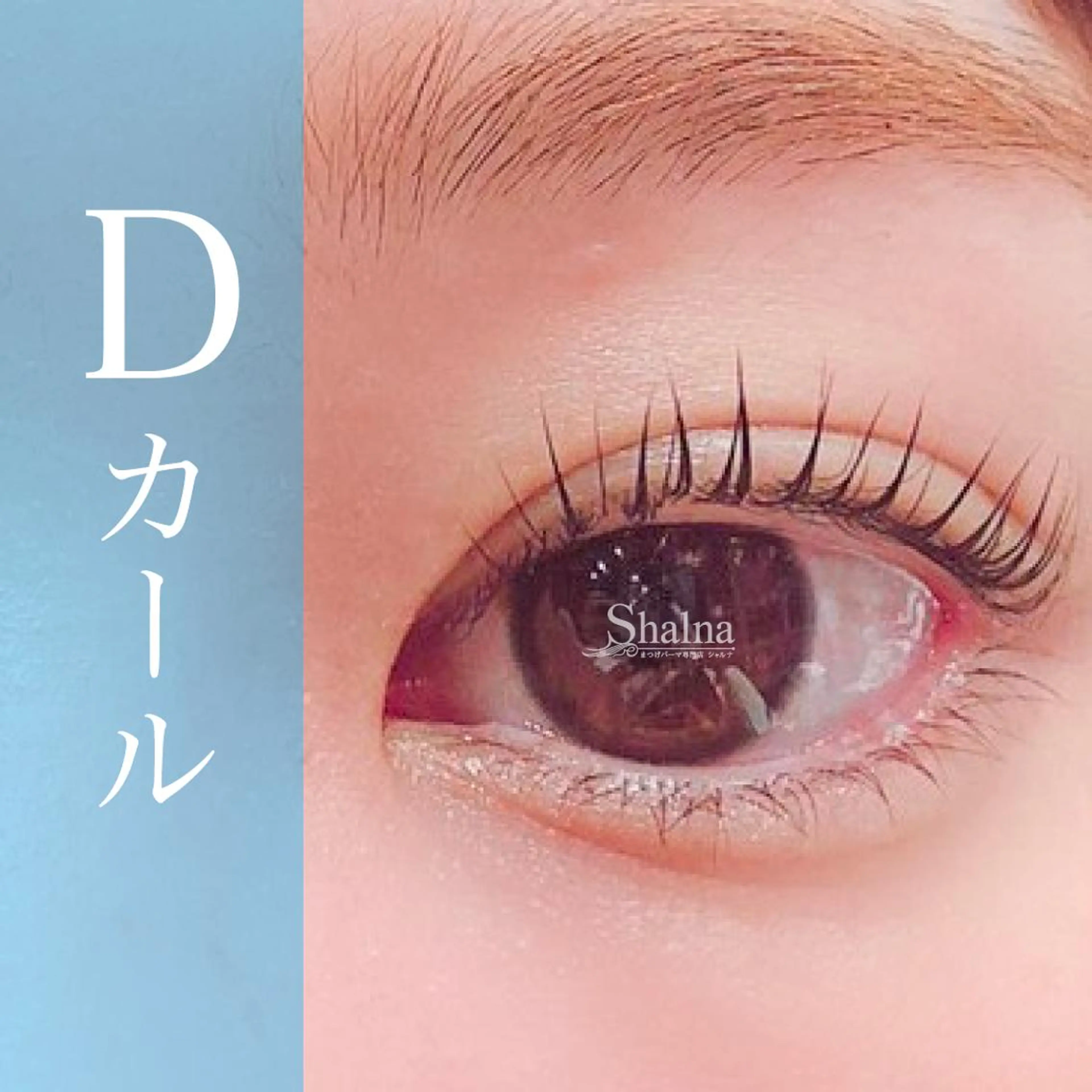 マツエク・マツパ Dカール まつげパーマ まつげパーマ専門店 シャルナ 岡山店のマツエク・マツパデザイン
