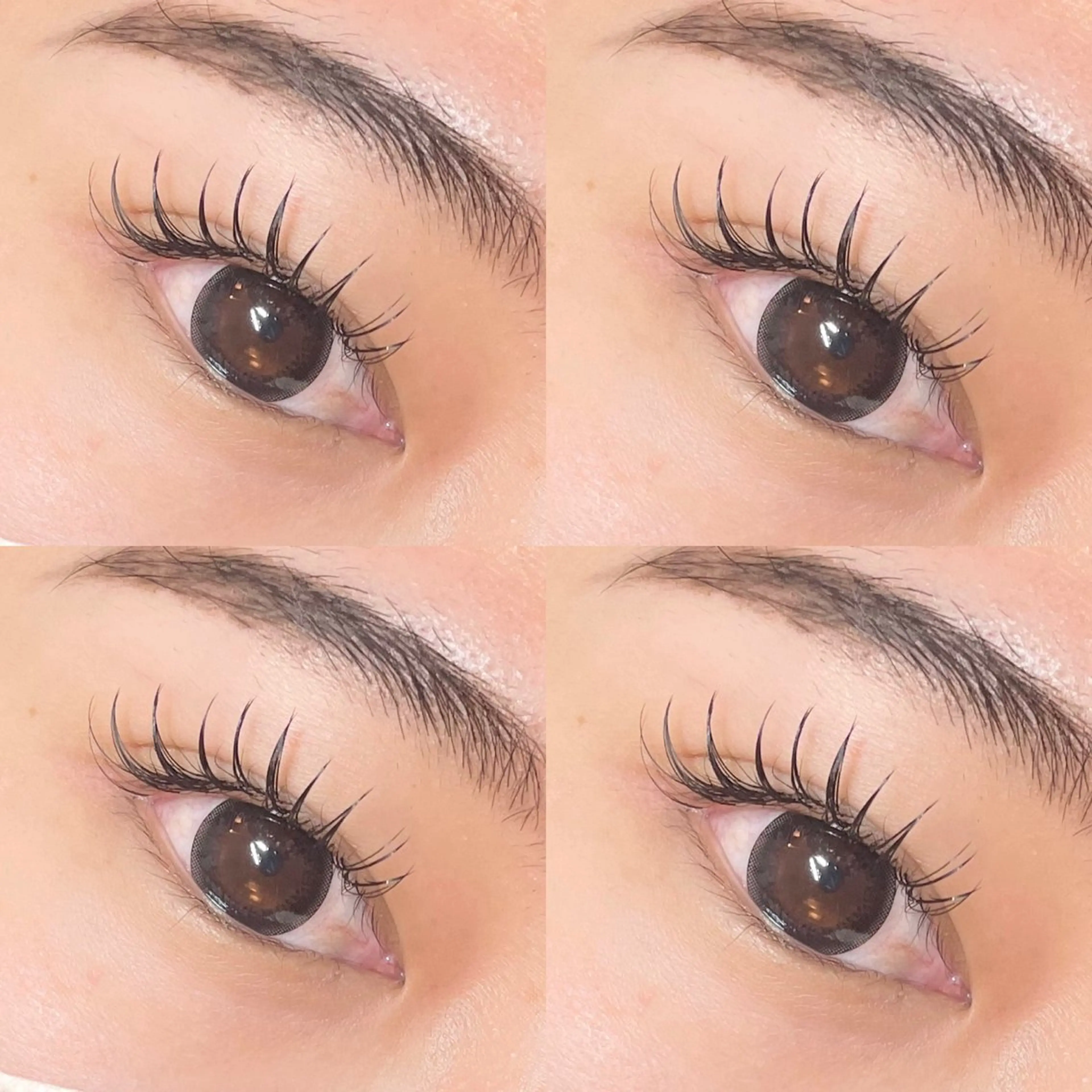 マツエク・マツパ 束感まつ毛 マツエク 心斎橋🤍韓国.美眉 パリジェンヌ R..のマツエク・マツパデザイン