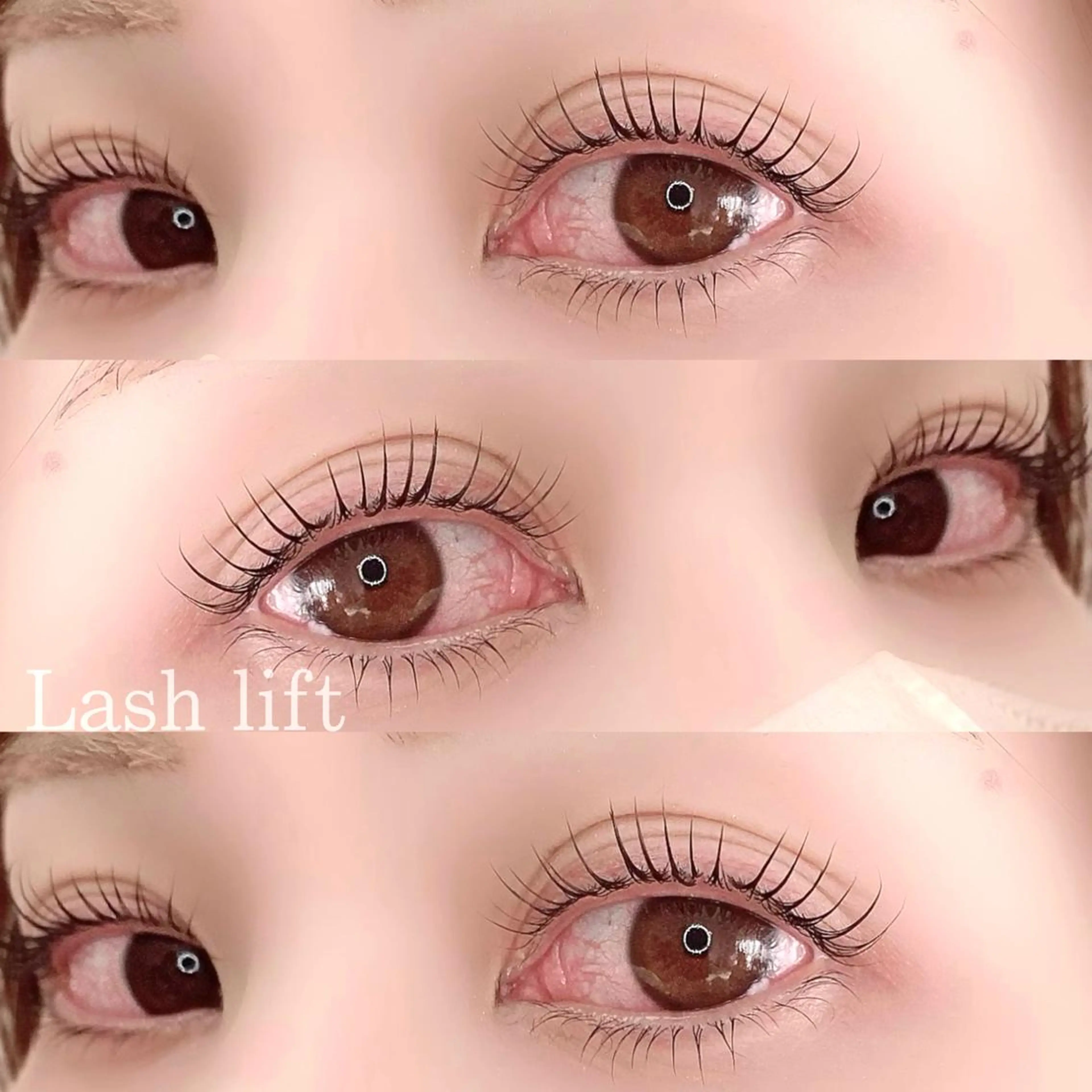 マツエク・マツパ eyelash "Koa"🕊🤎のマツエク・マツパデザイン