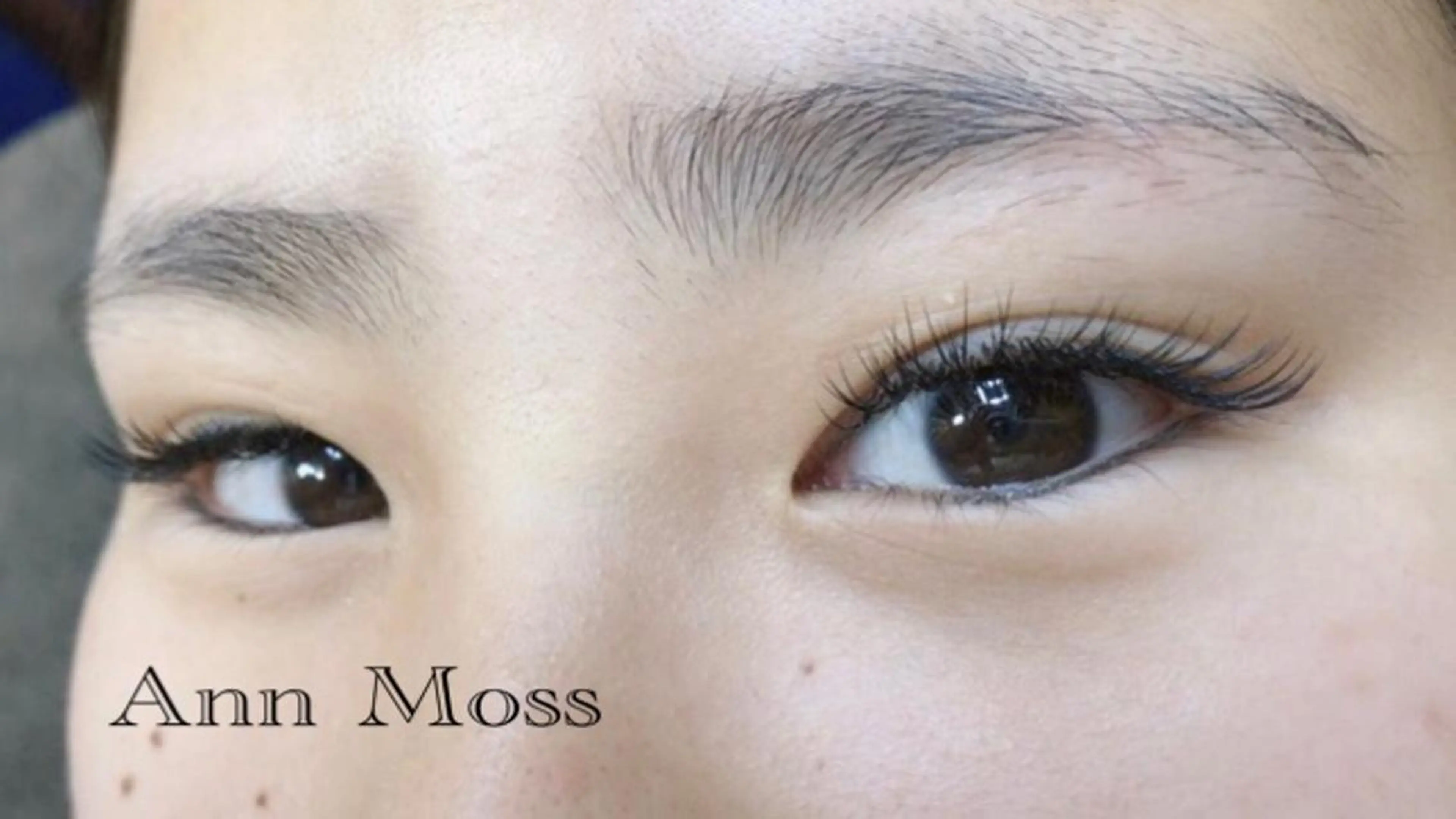 マツエク・マツパ 無料モデル募集中 Ann Mossのマツエク・マツパデザイン