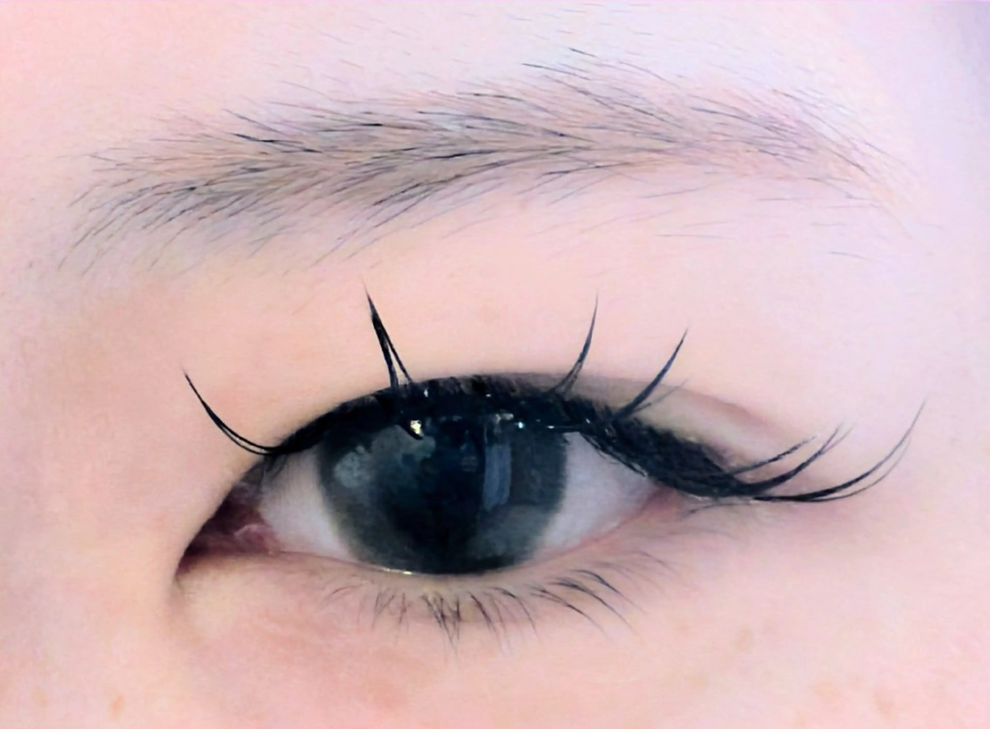 マツエク・マツパ Cカール Sun Brown Ryu-gaのマツエク・マツパデザイン