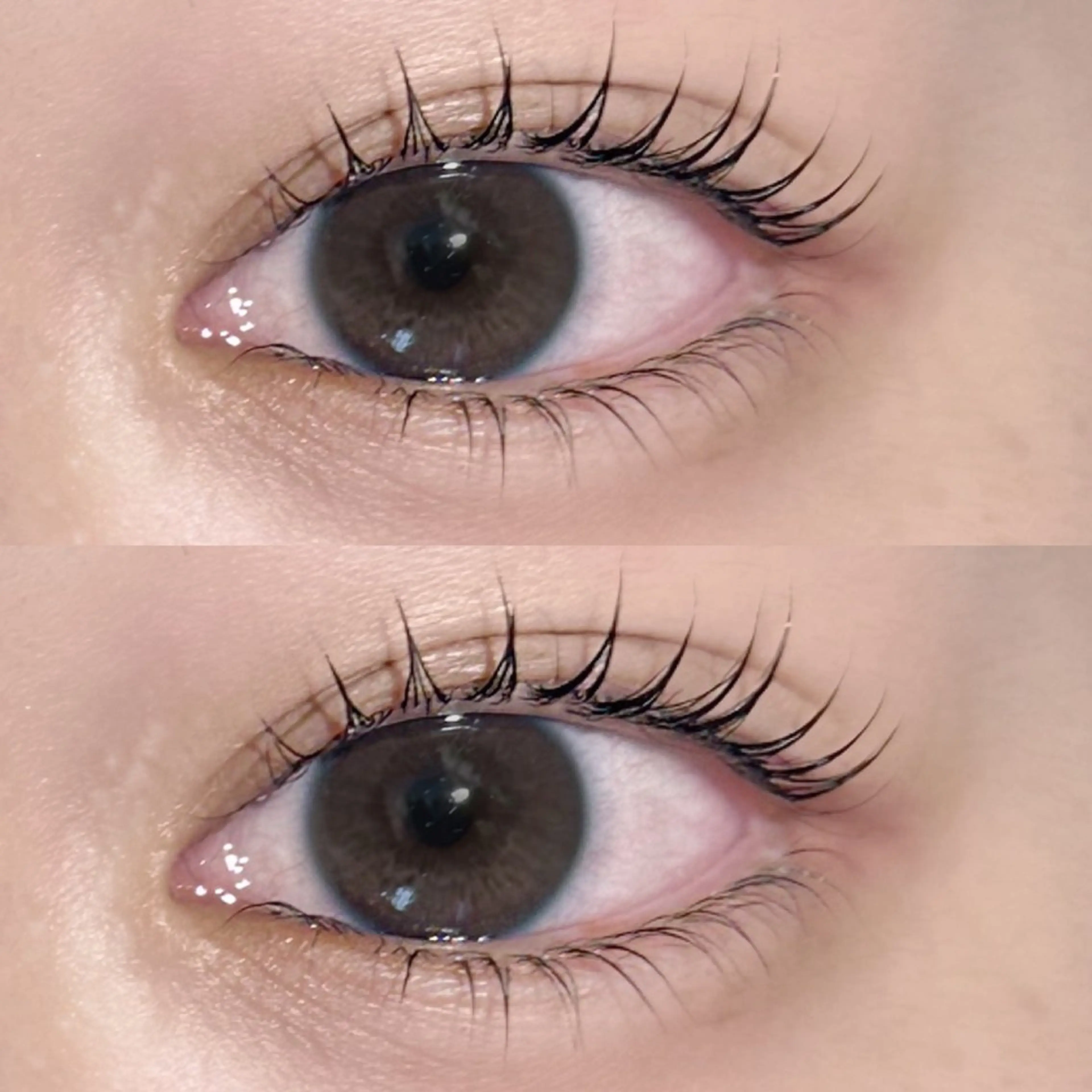 マスカラパーマ🖤束感ラッシュリフト（上）の写真