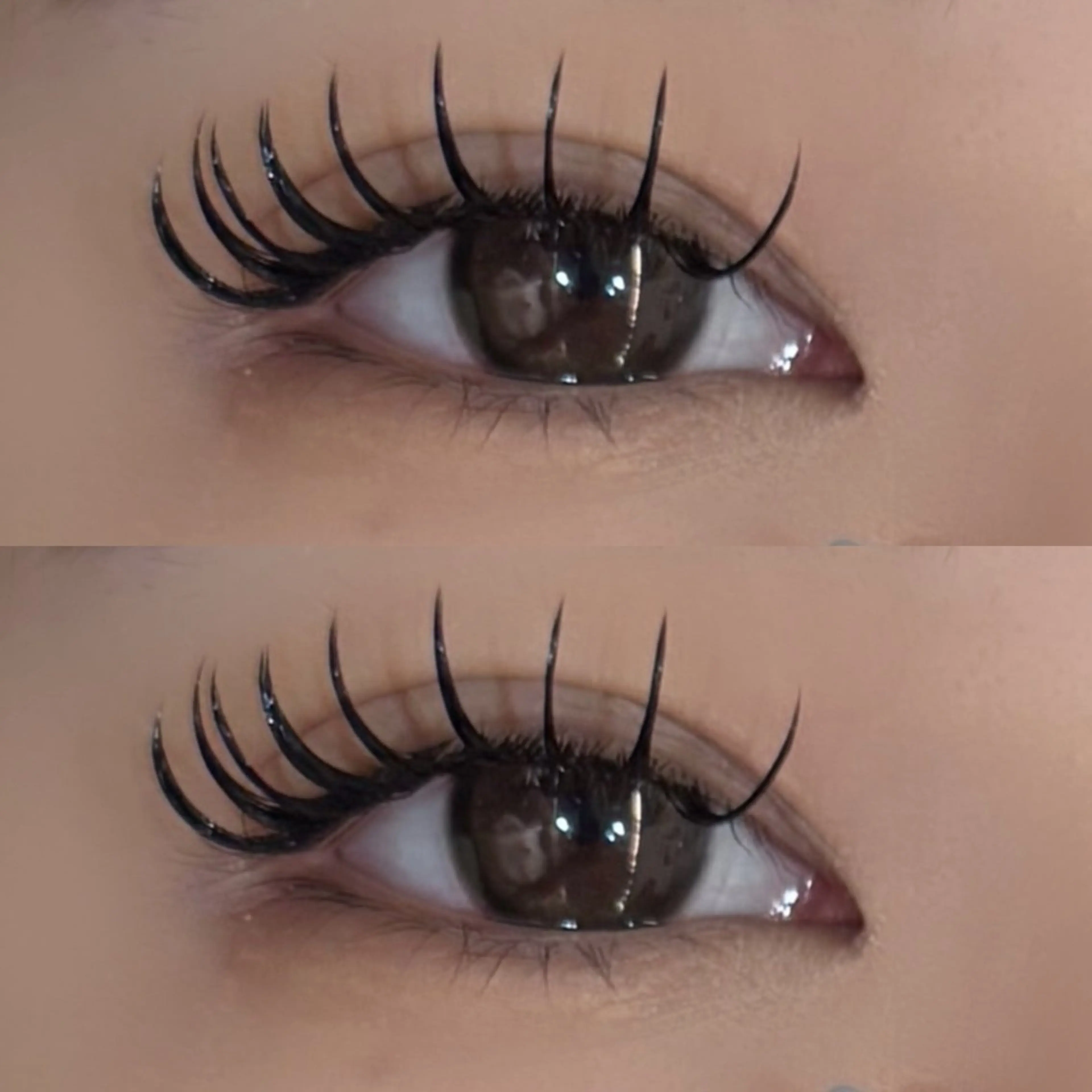 オフあり🤍高持続LEDバインドロック100束🪸の写真