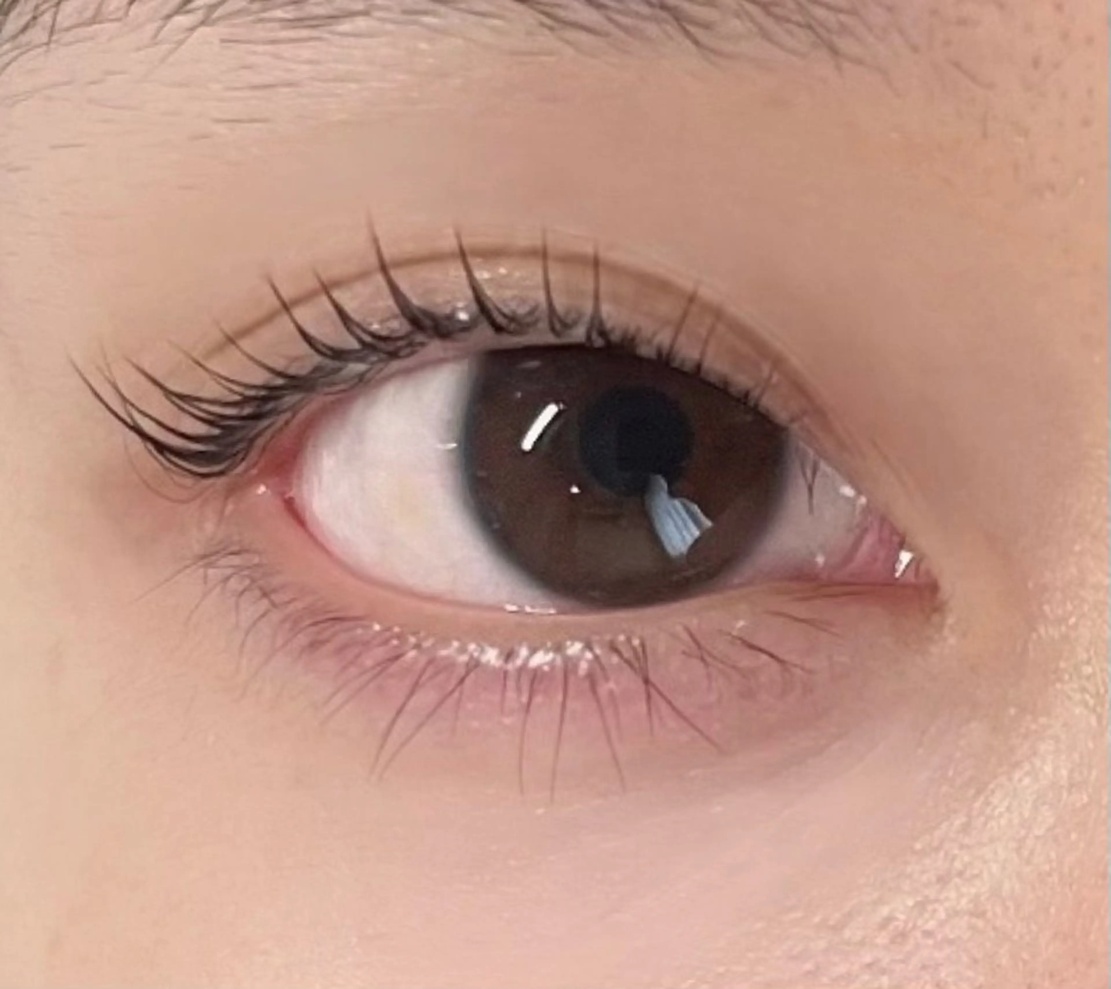 マツエク・マツパ PutiLuca 相澤の眉毛・アイブロウイメージ