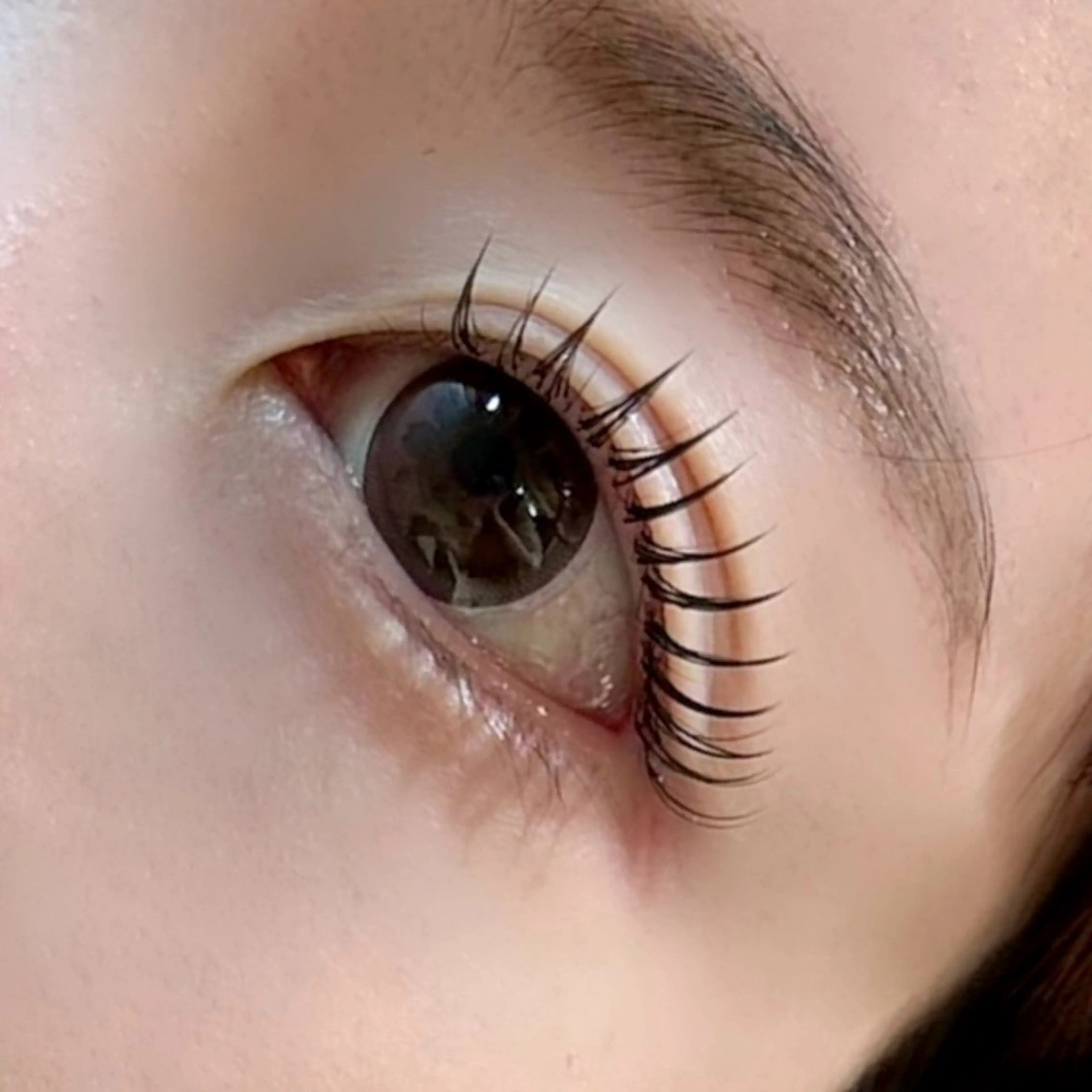 LEDマツエク120本/フラットラッシュ【水、汗に強い】〈本数変更も可能〉の写真