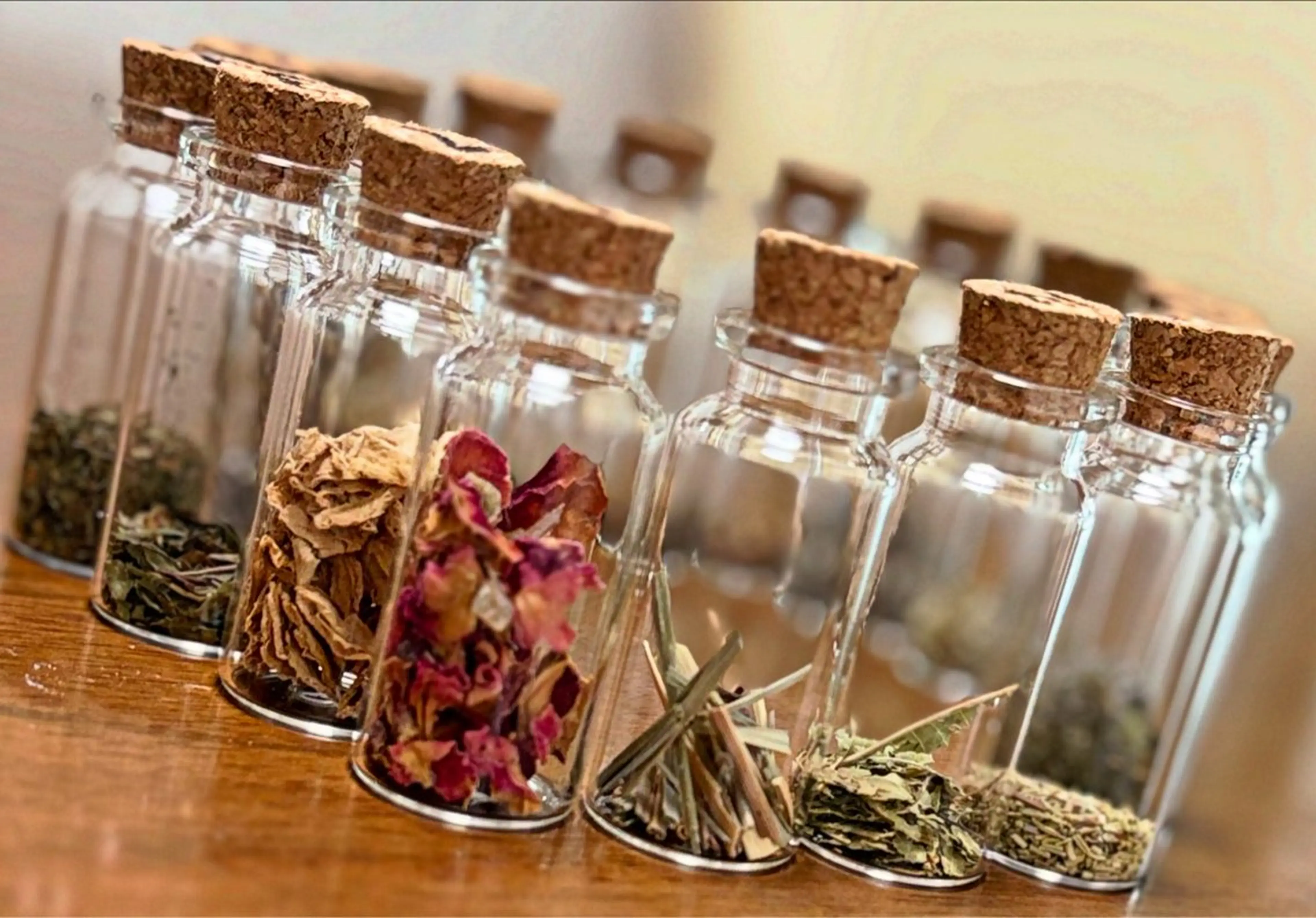 よもぎ蒸し30分耳ツボジュエリー10粒の写真