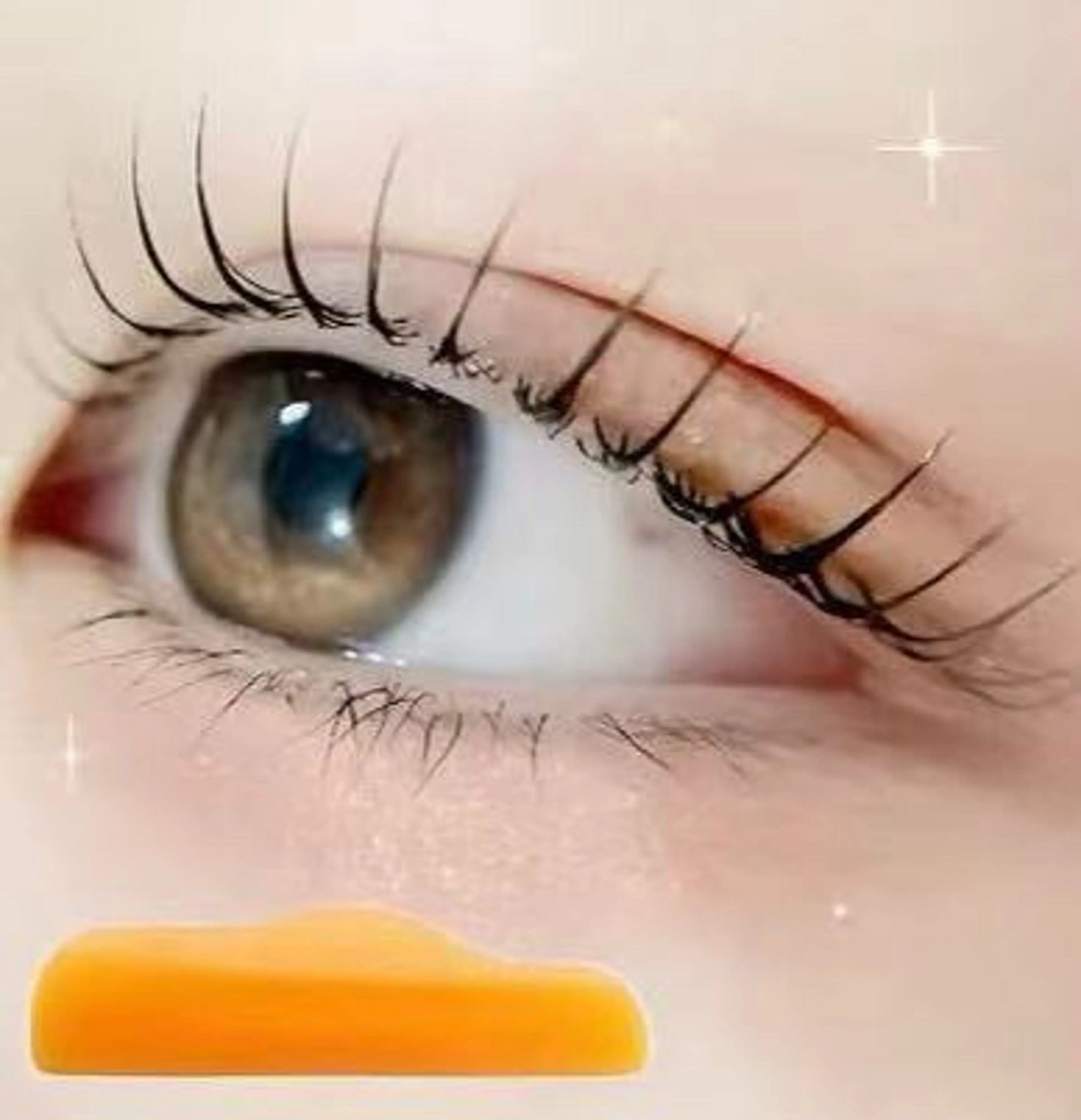 マツエク・マツパ 大人気🌸ran L ED専門店/パリエクのマツエク・マツパデザイン