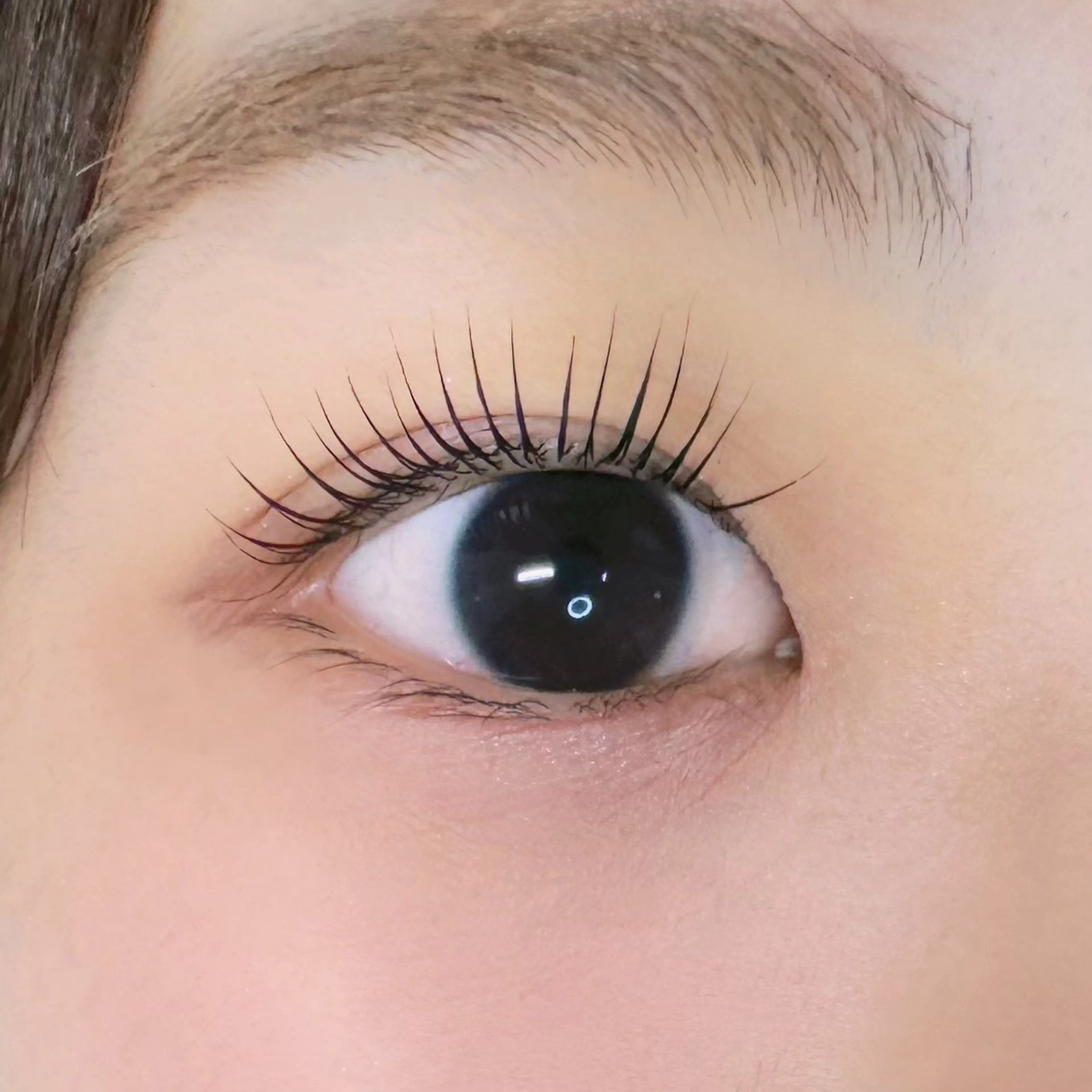 パリジェンヌorラッシュリフト👀✨️の写真