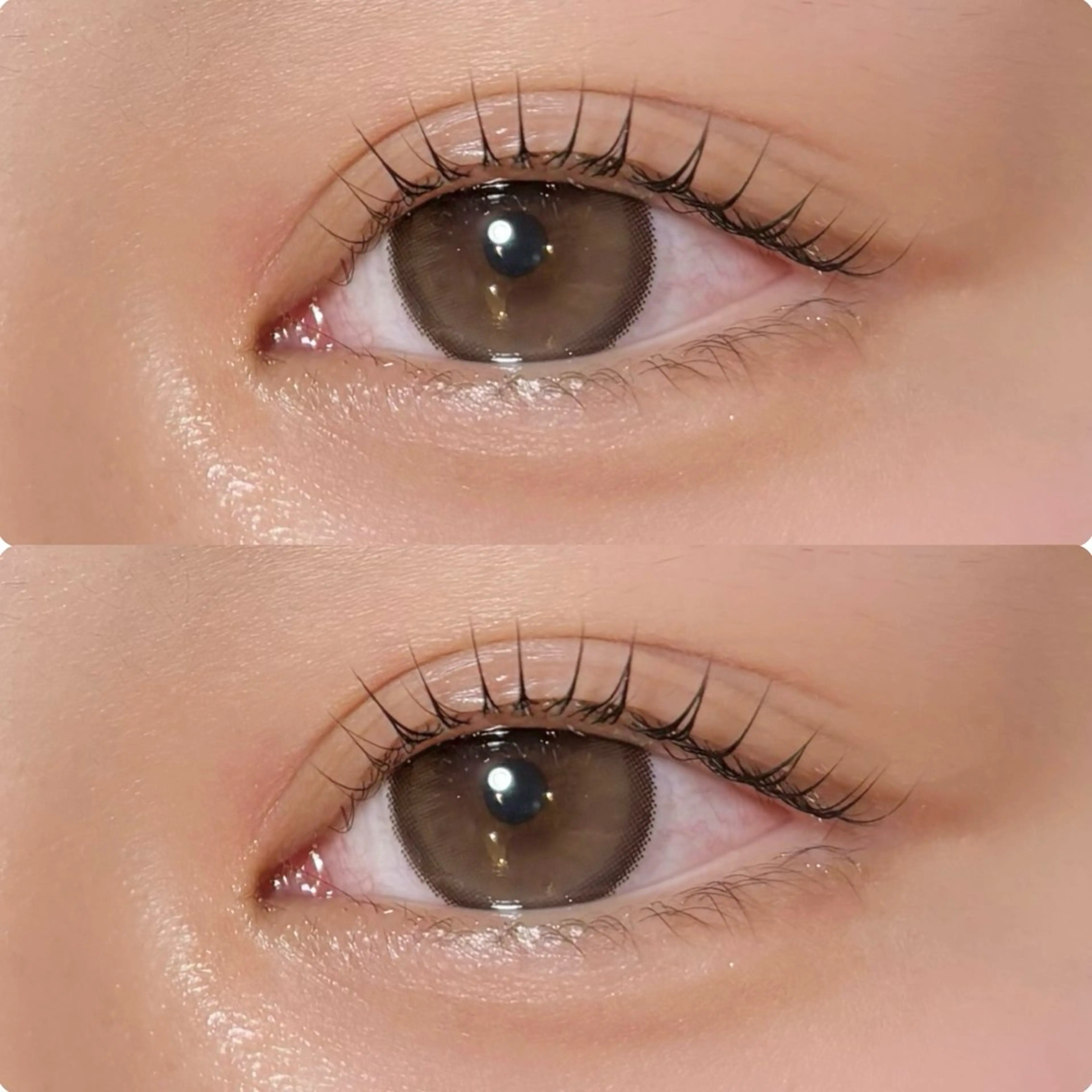 マツエク・マツパ meguru／マツパ ／マツエク／束感のマツエク・マツパデザイン