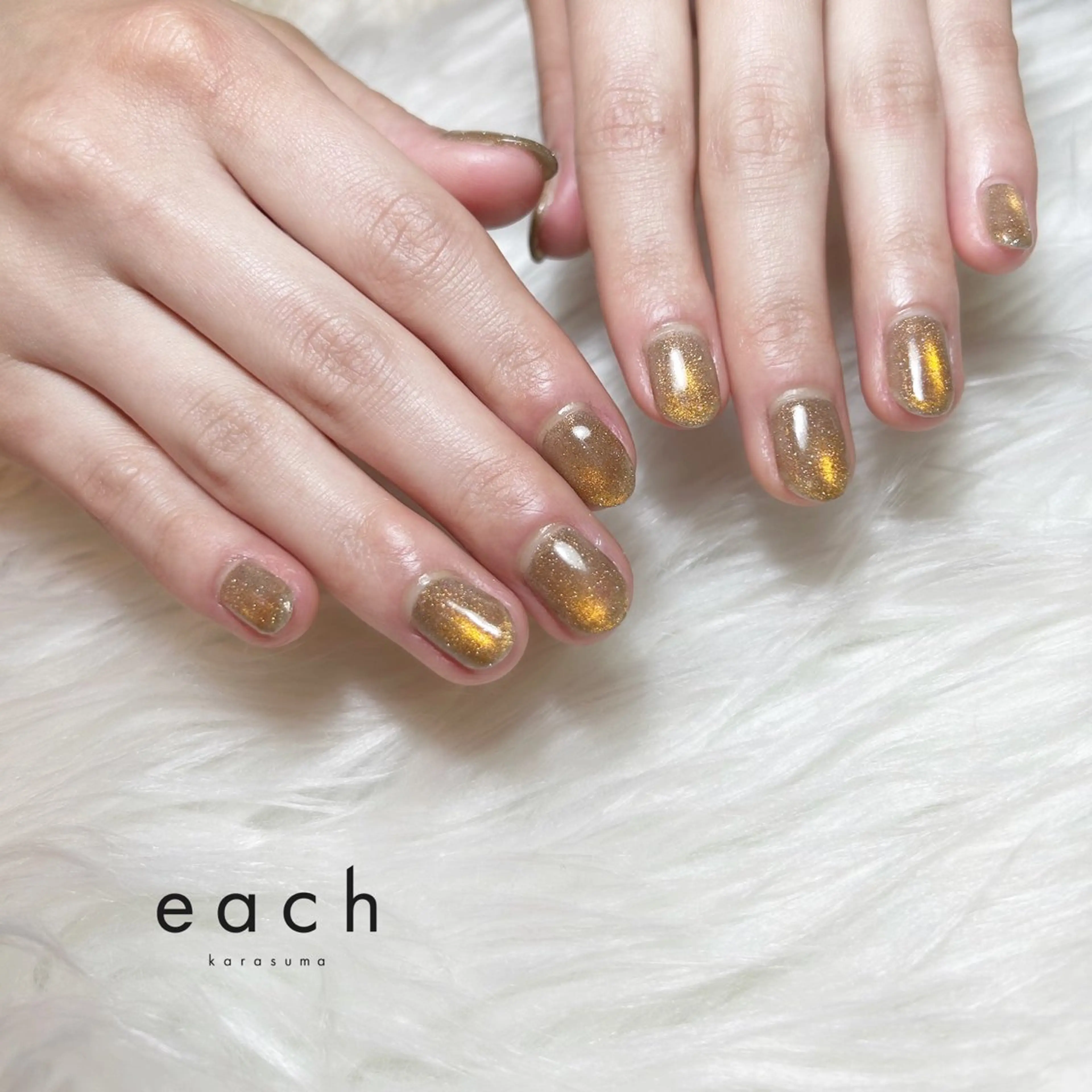 ネイル マグネットネイル ハンドネイル filon nail所属・filon nail kanako🕊のネイルデザイン