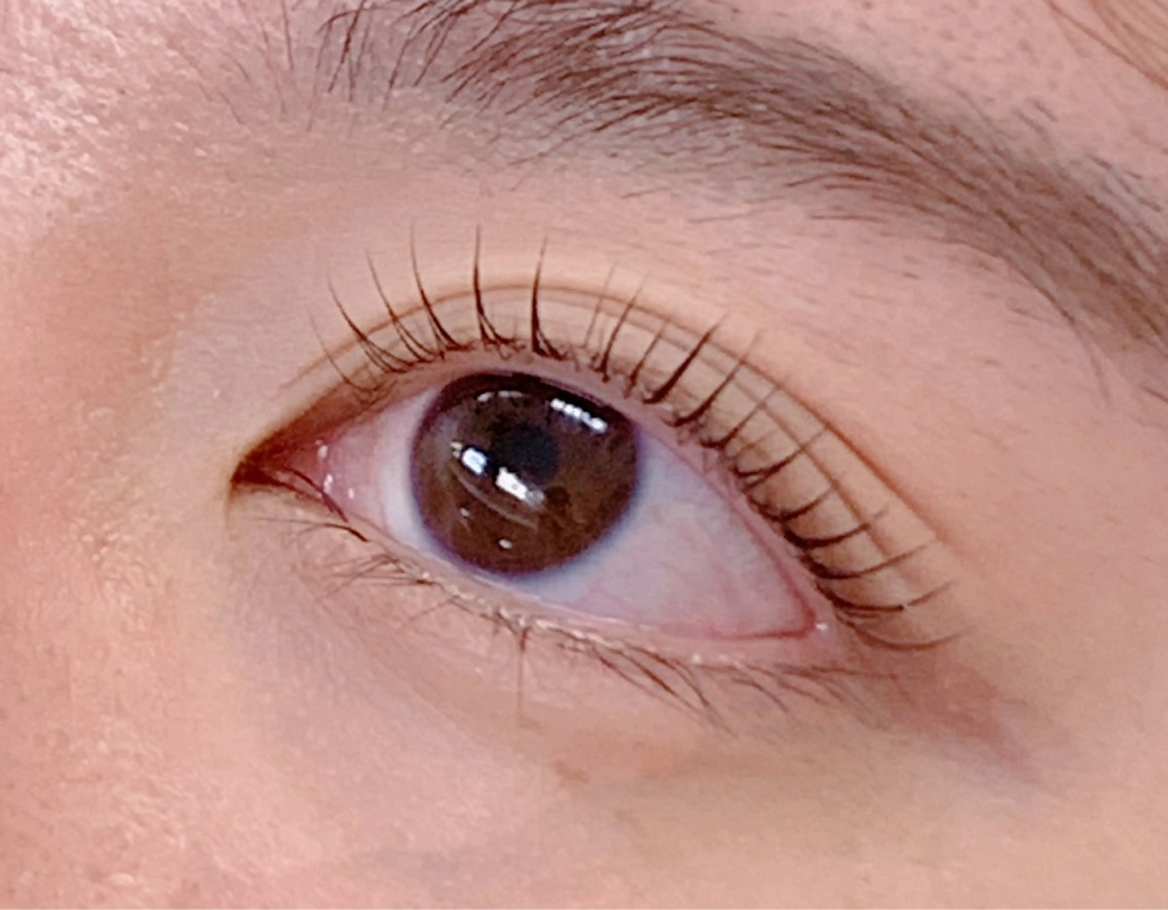 マツエク・マツパ 一重×まつ毛パーマ Lil by Fan. 菊池のマツエク・マツパデザイン