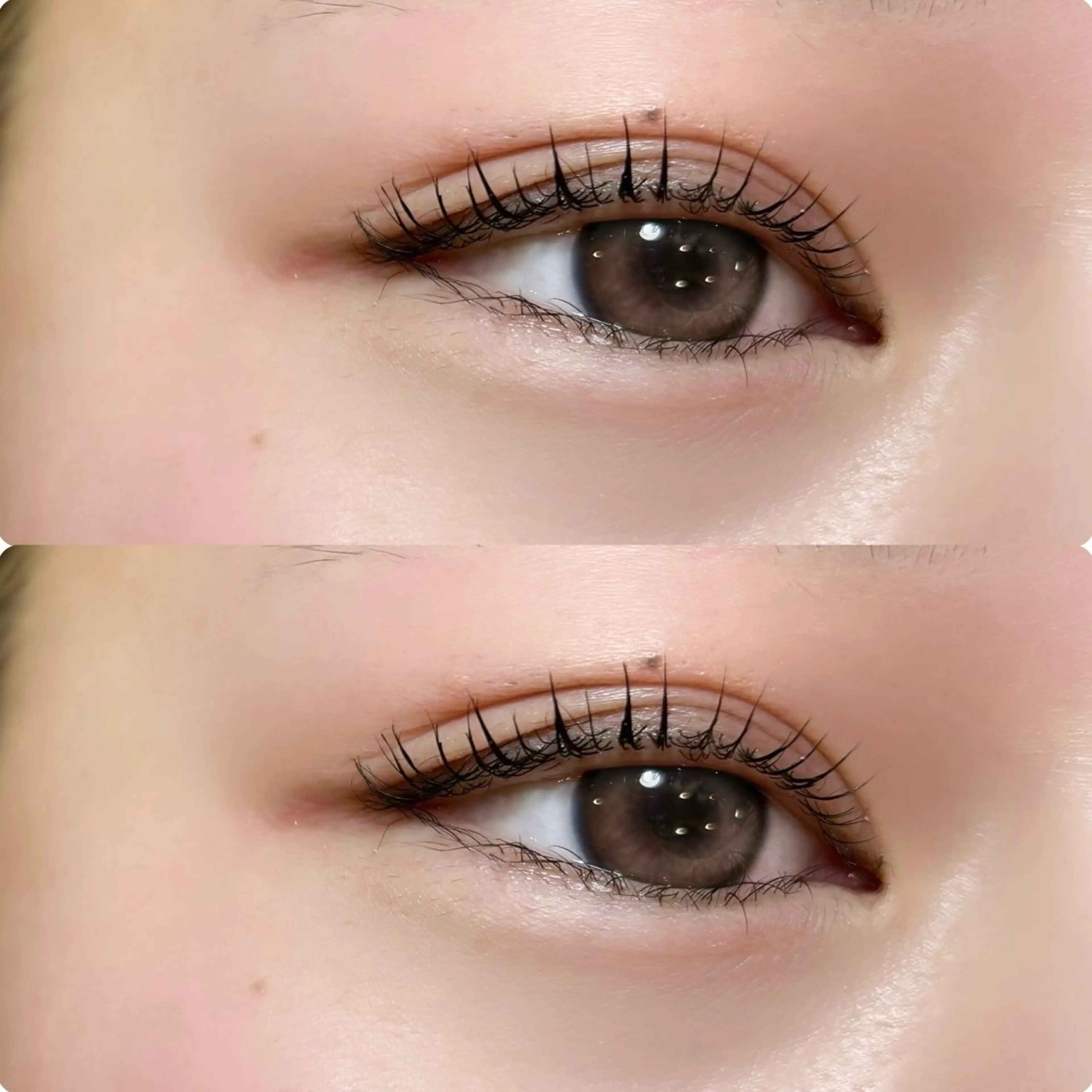 マツエク・マツパ meguru／マツパ ／マツエク／束感のマツエク・マツパデザイン